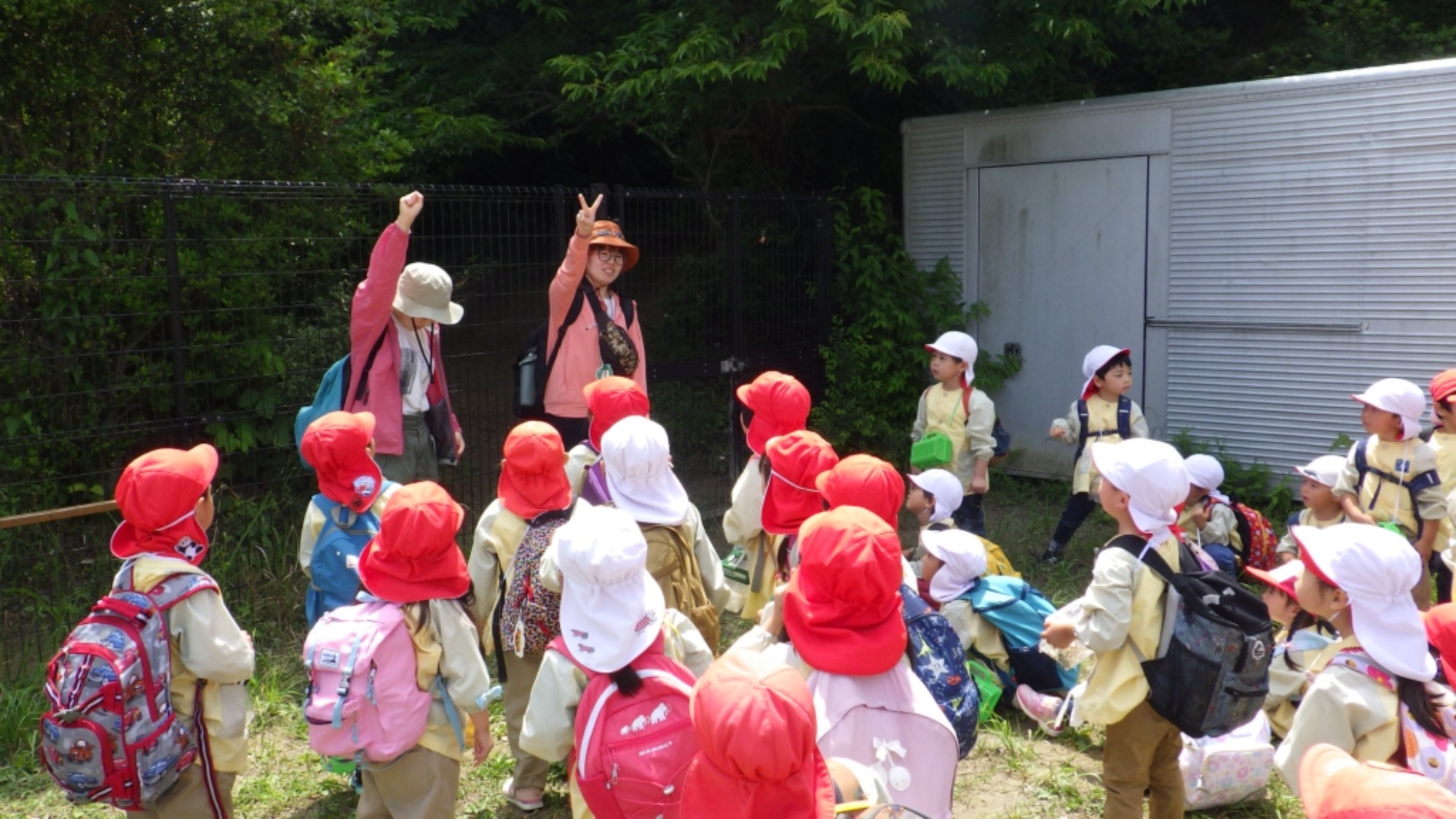 年中　5月の園外保育　その1