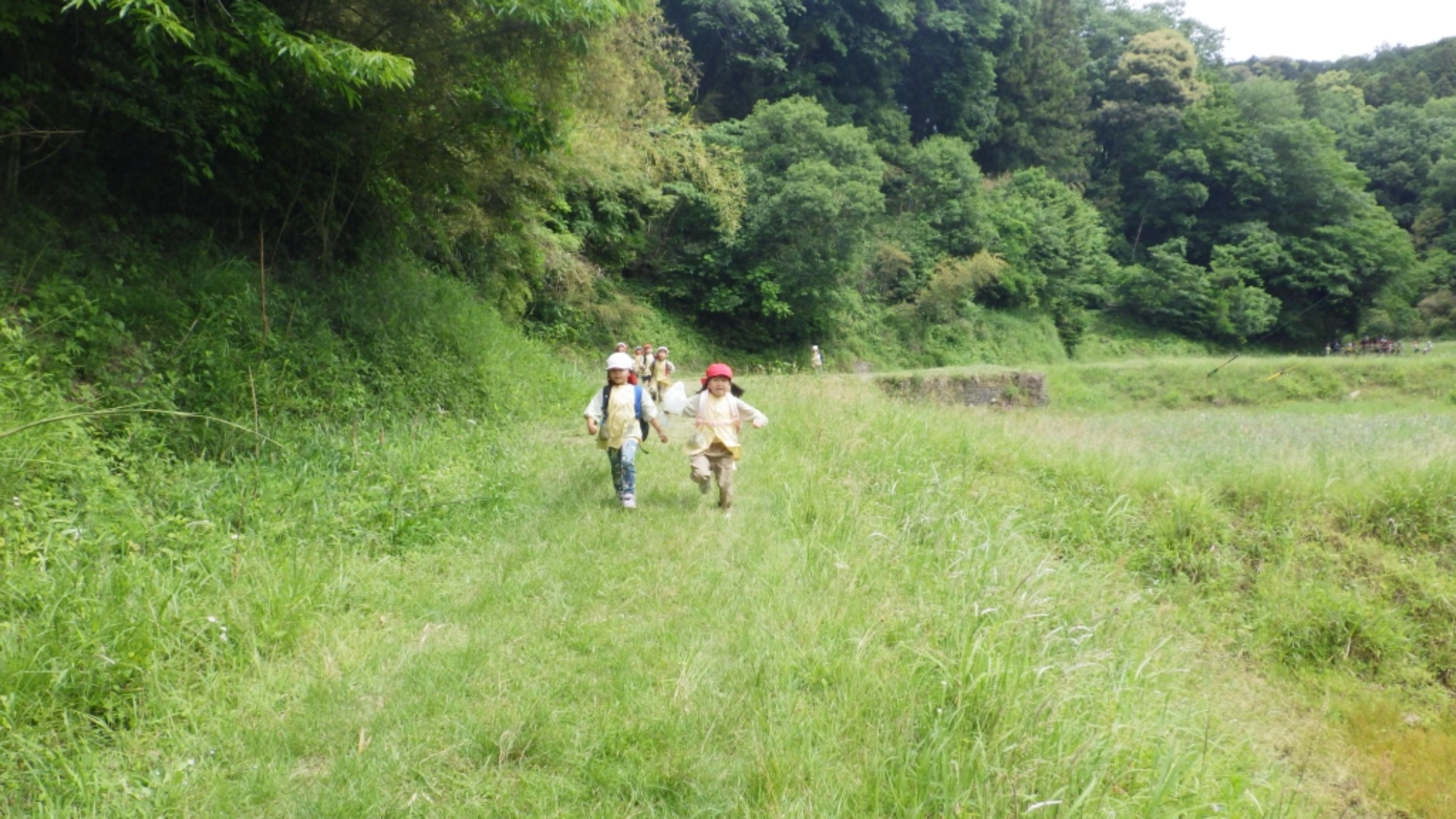 年長　5月の園外保育　その3