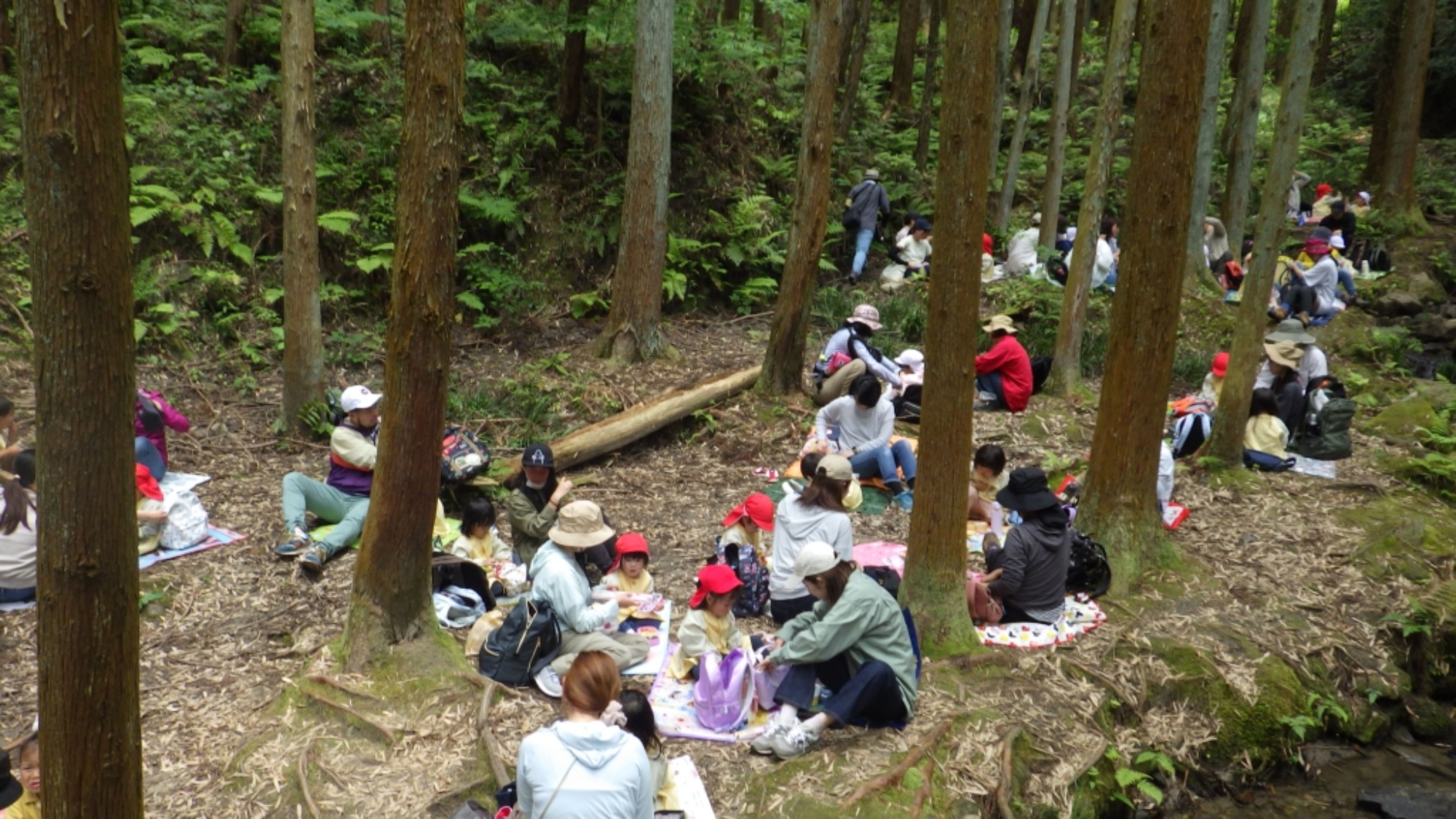 年少　5月の園外保育　その1