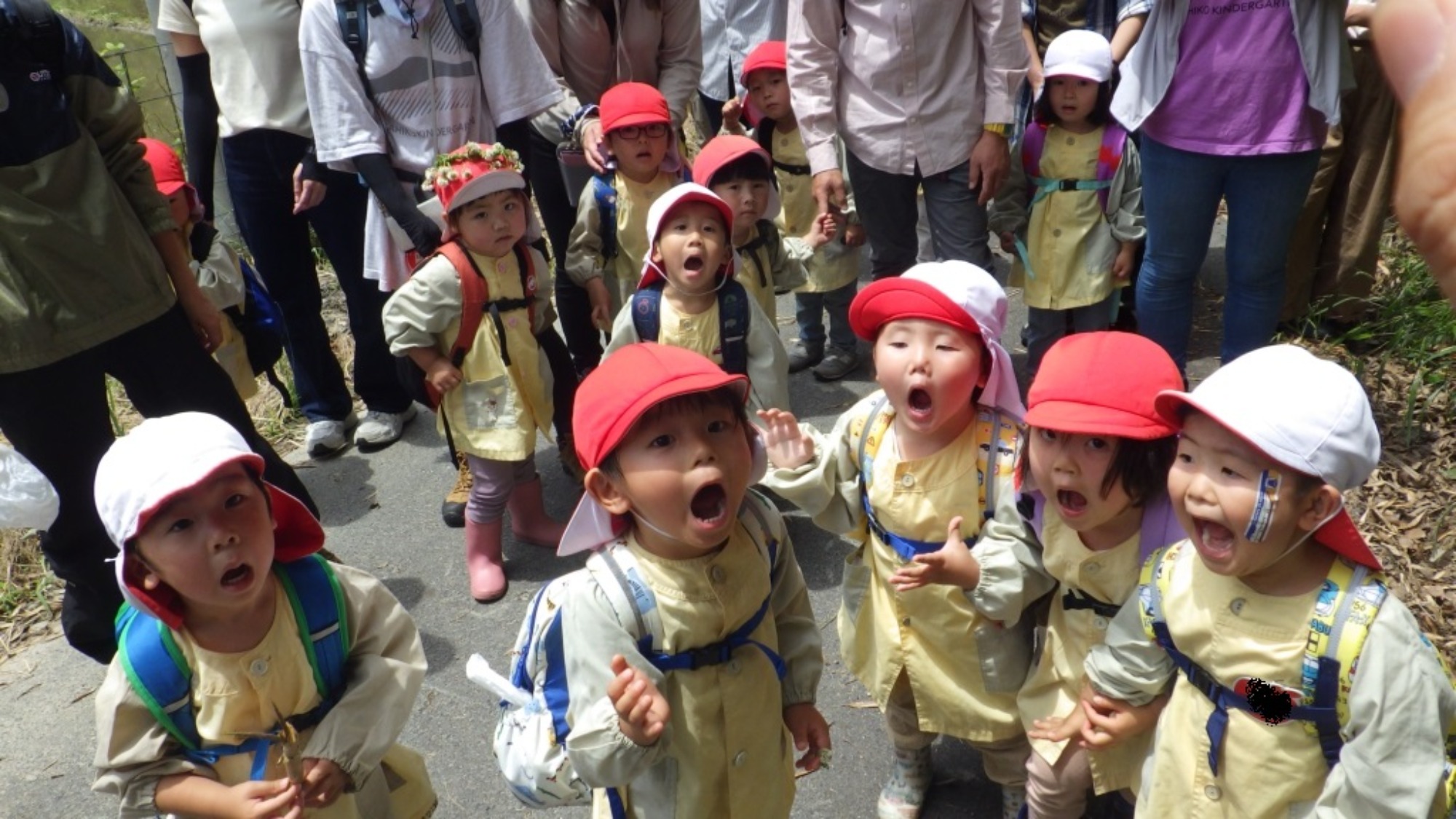 年少　5月の園外保育　その1