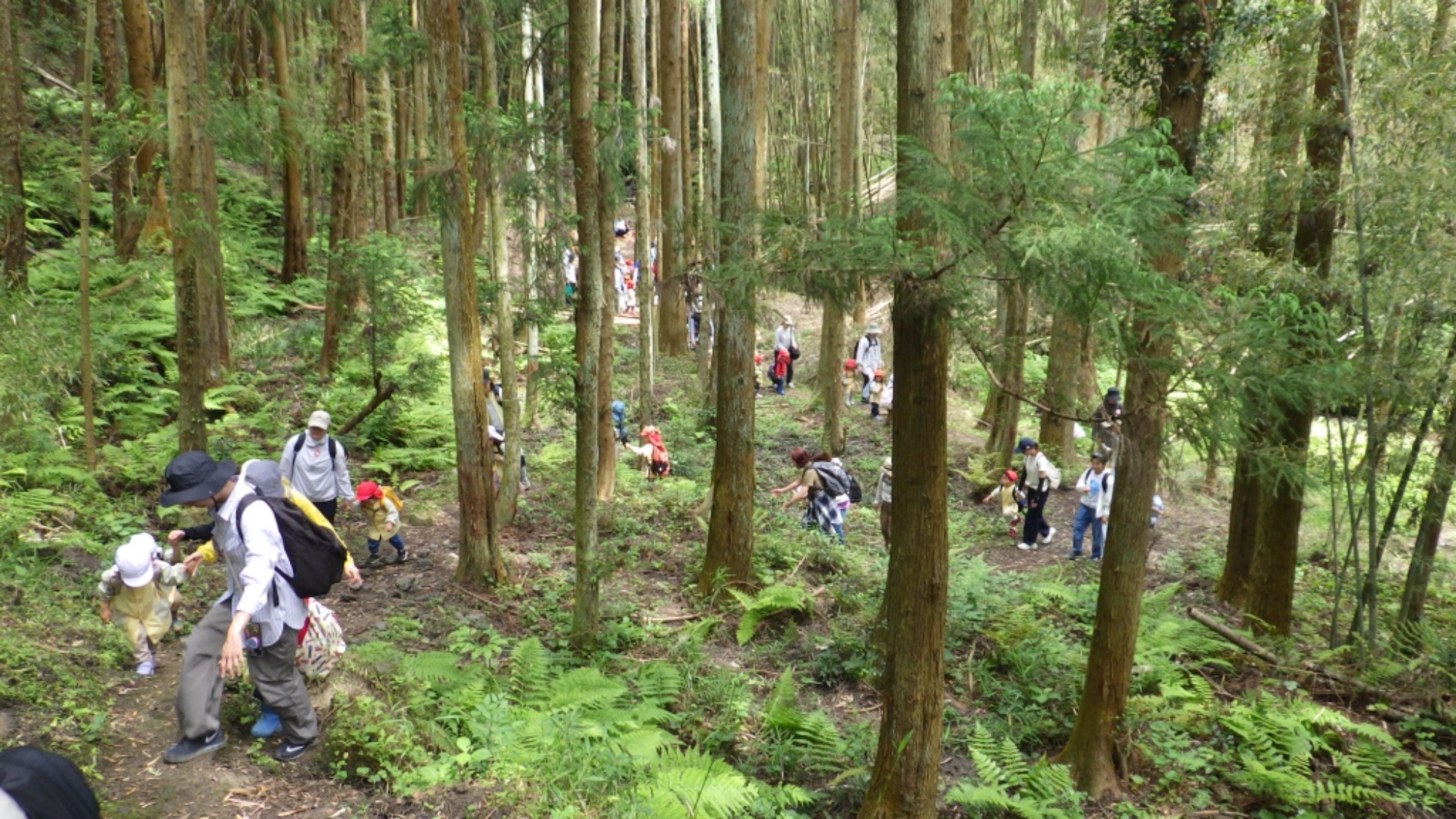 年少　5月の園外保育　その2