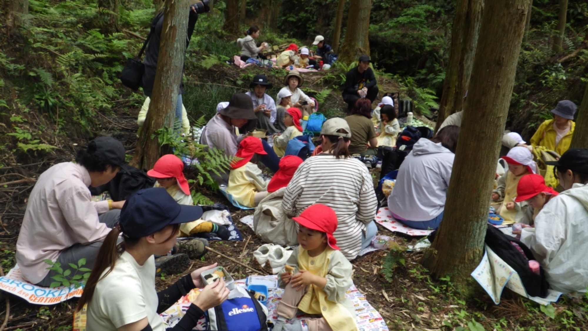 年少　5月の園外保育　その2