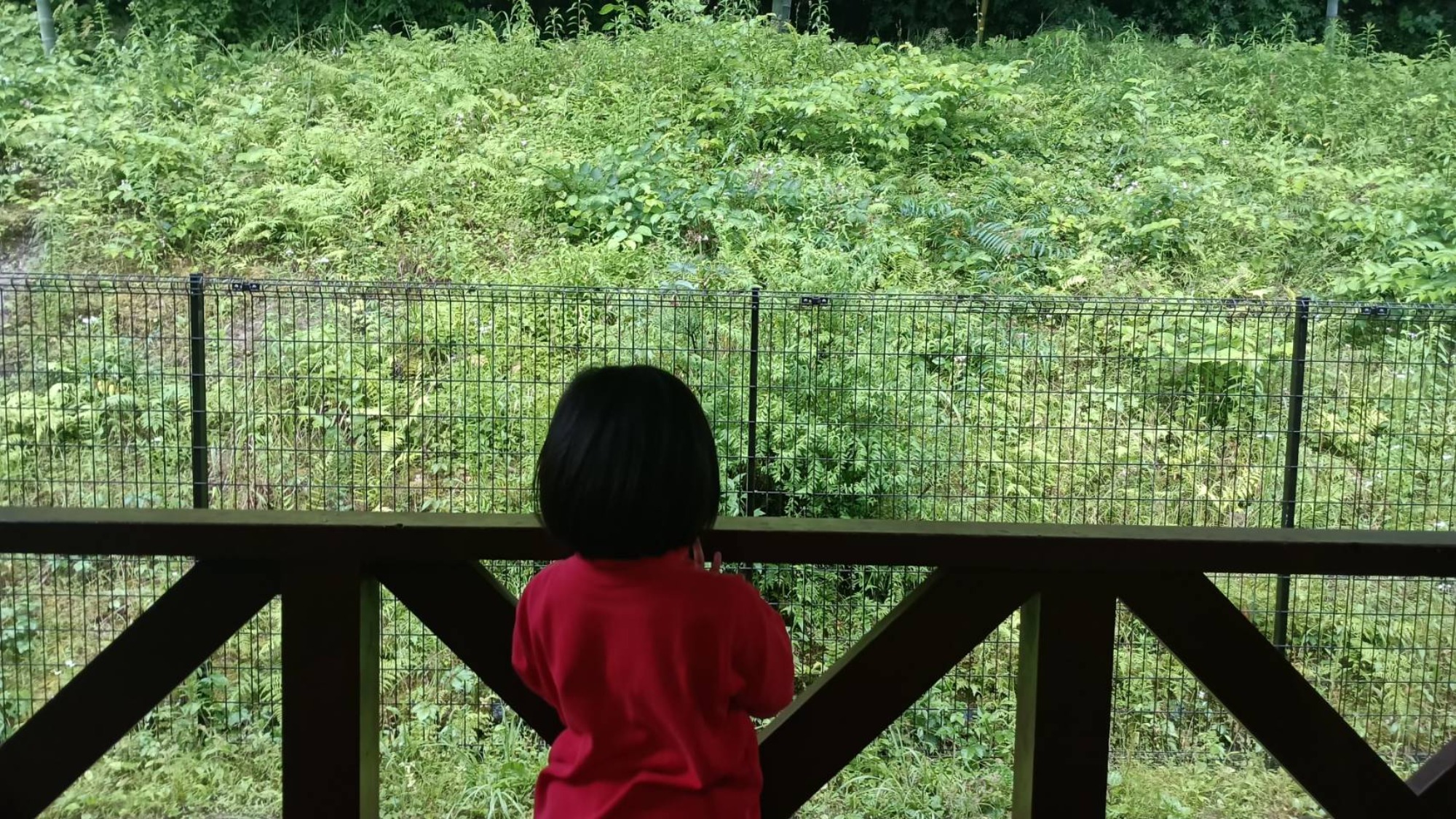 雨、晴れ、いろいろ