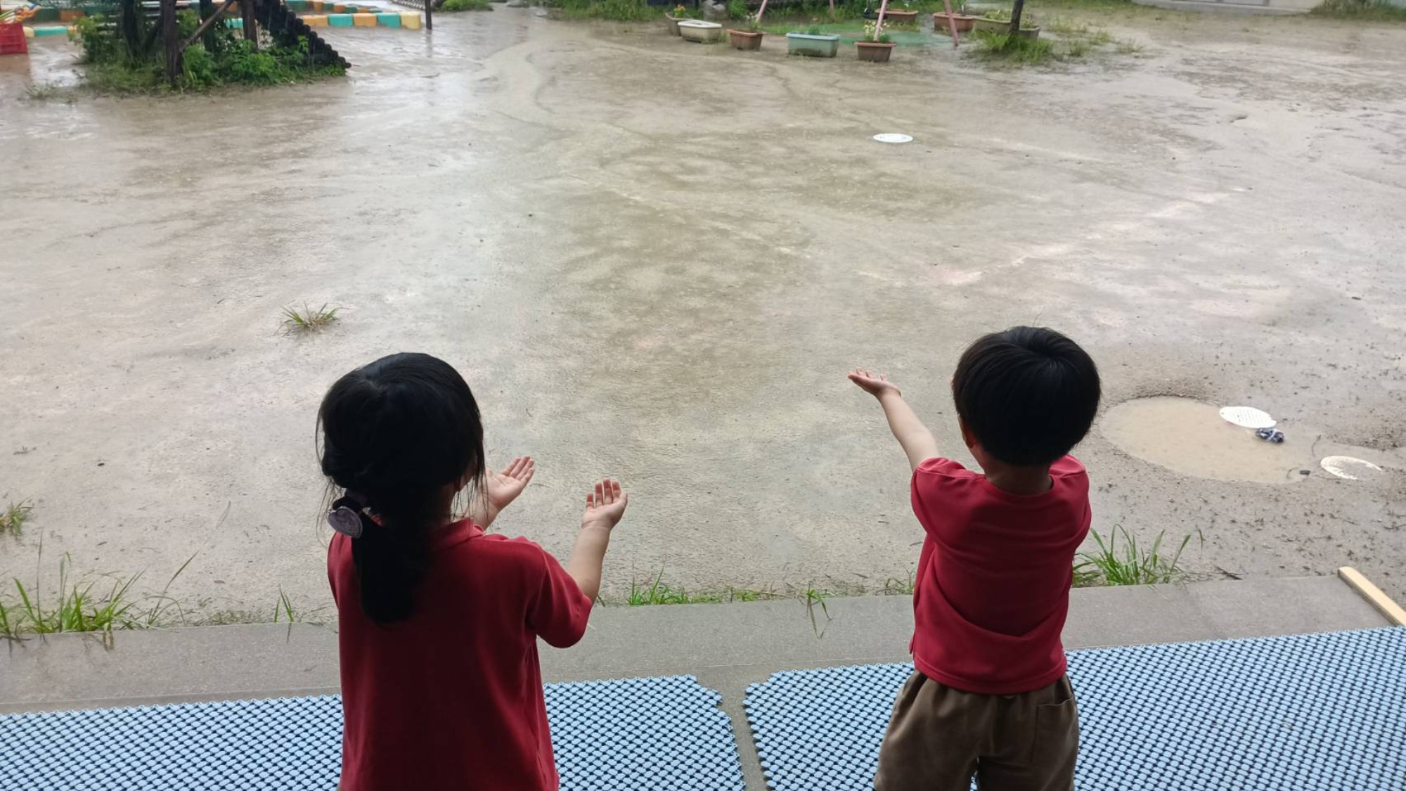 雨、晴れ、いろいろ