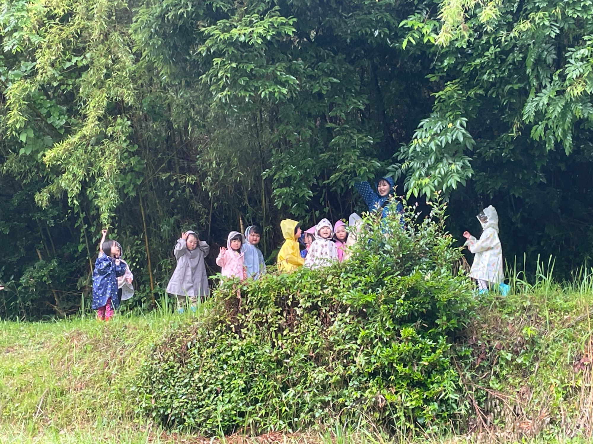 雨の日のお散歩