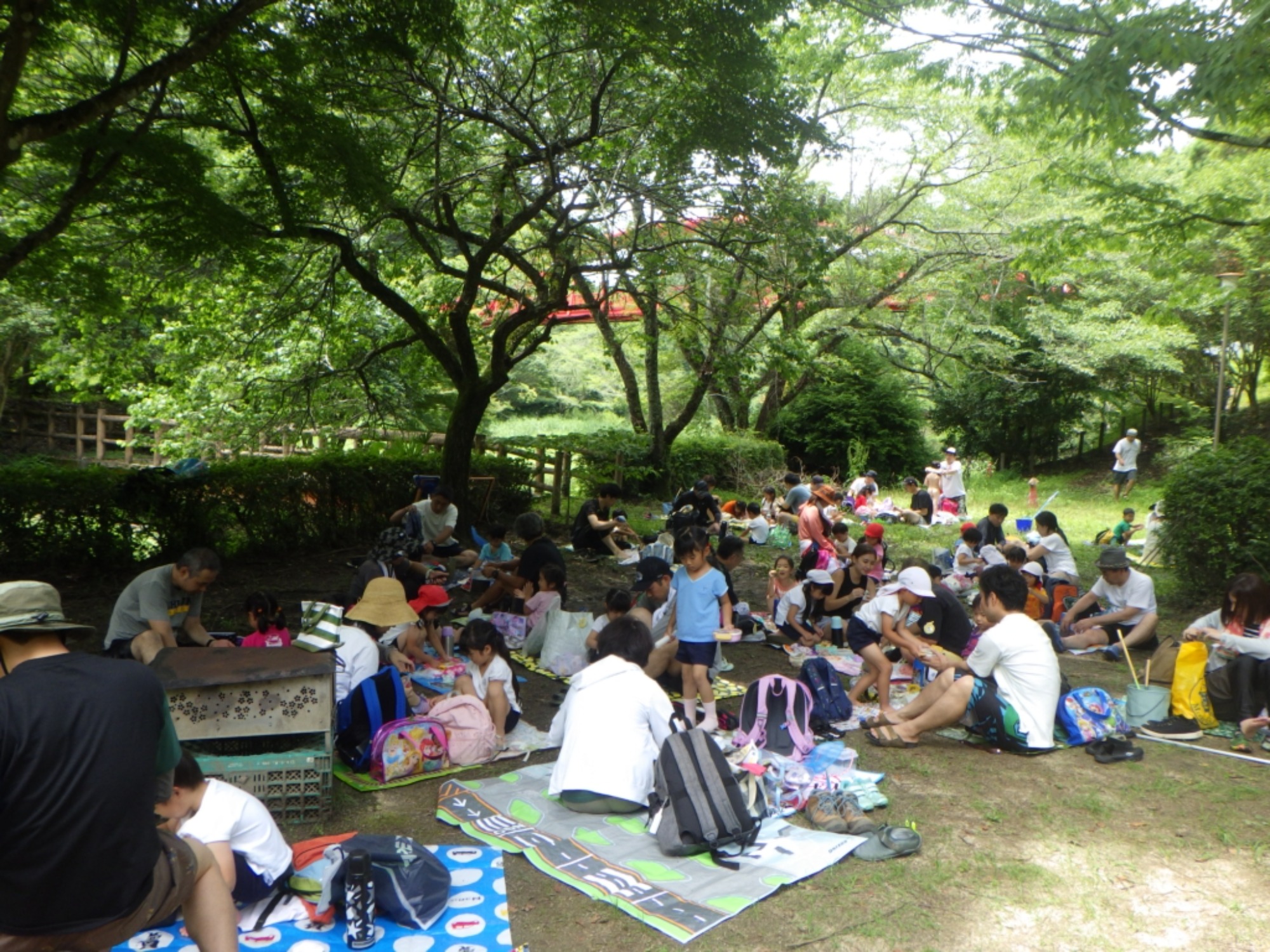 年中　川遊び園外保育（1/2）