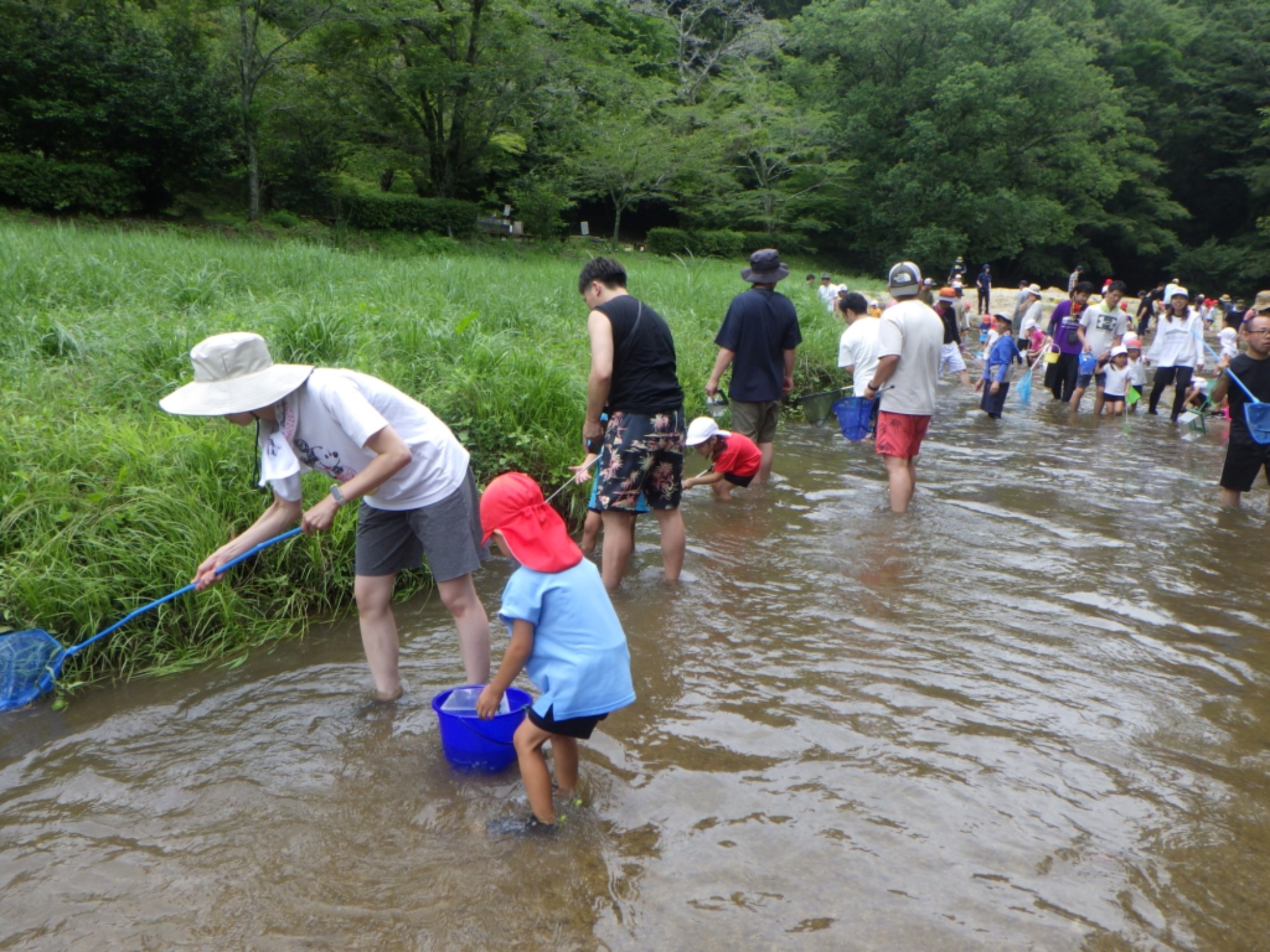 年中　川遊び園外保育（1/2）