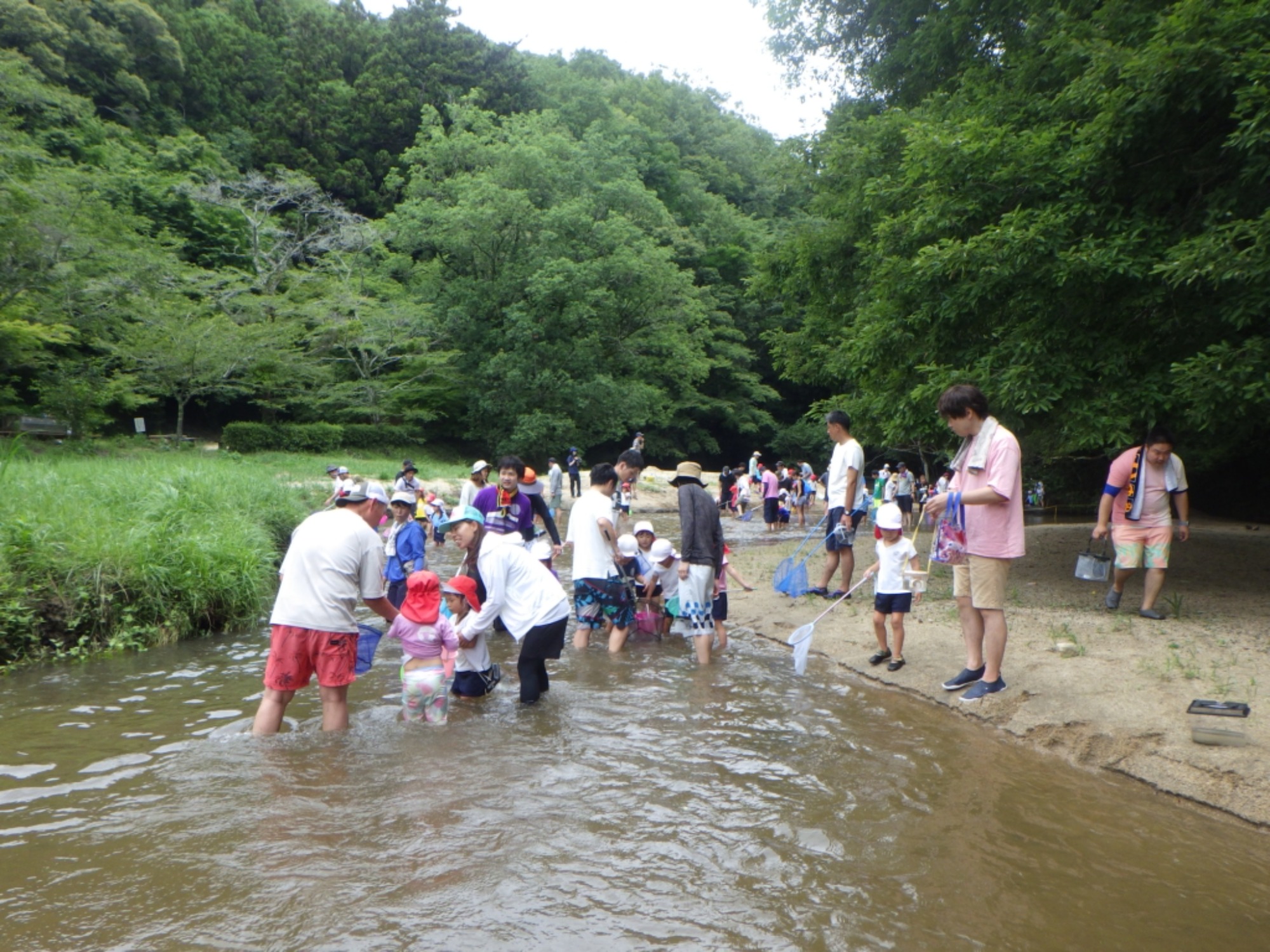 年中　川遊び園外保育（1/2）