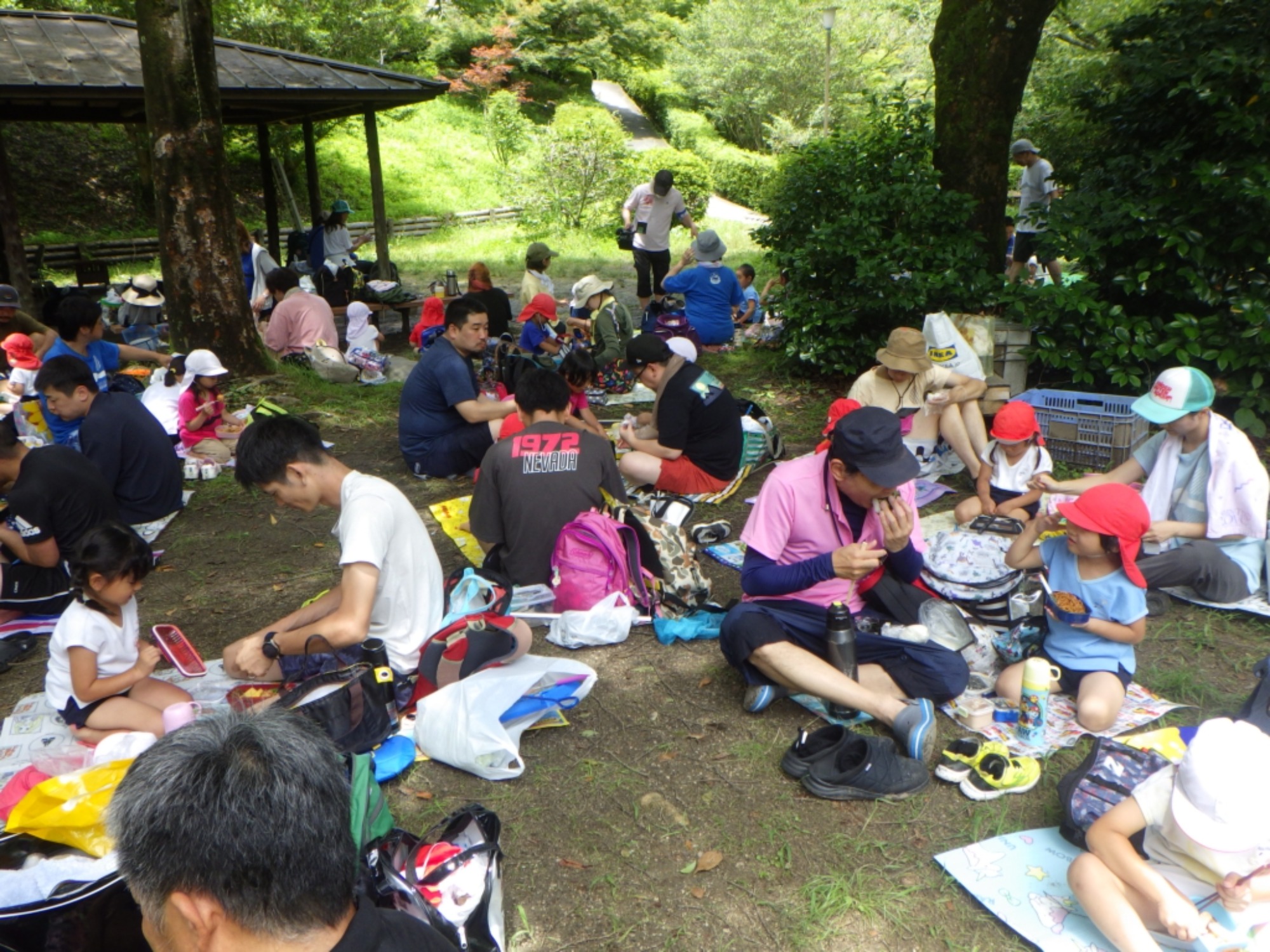 年中　川遊び園外保育（2/2）