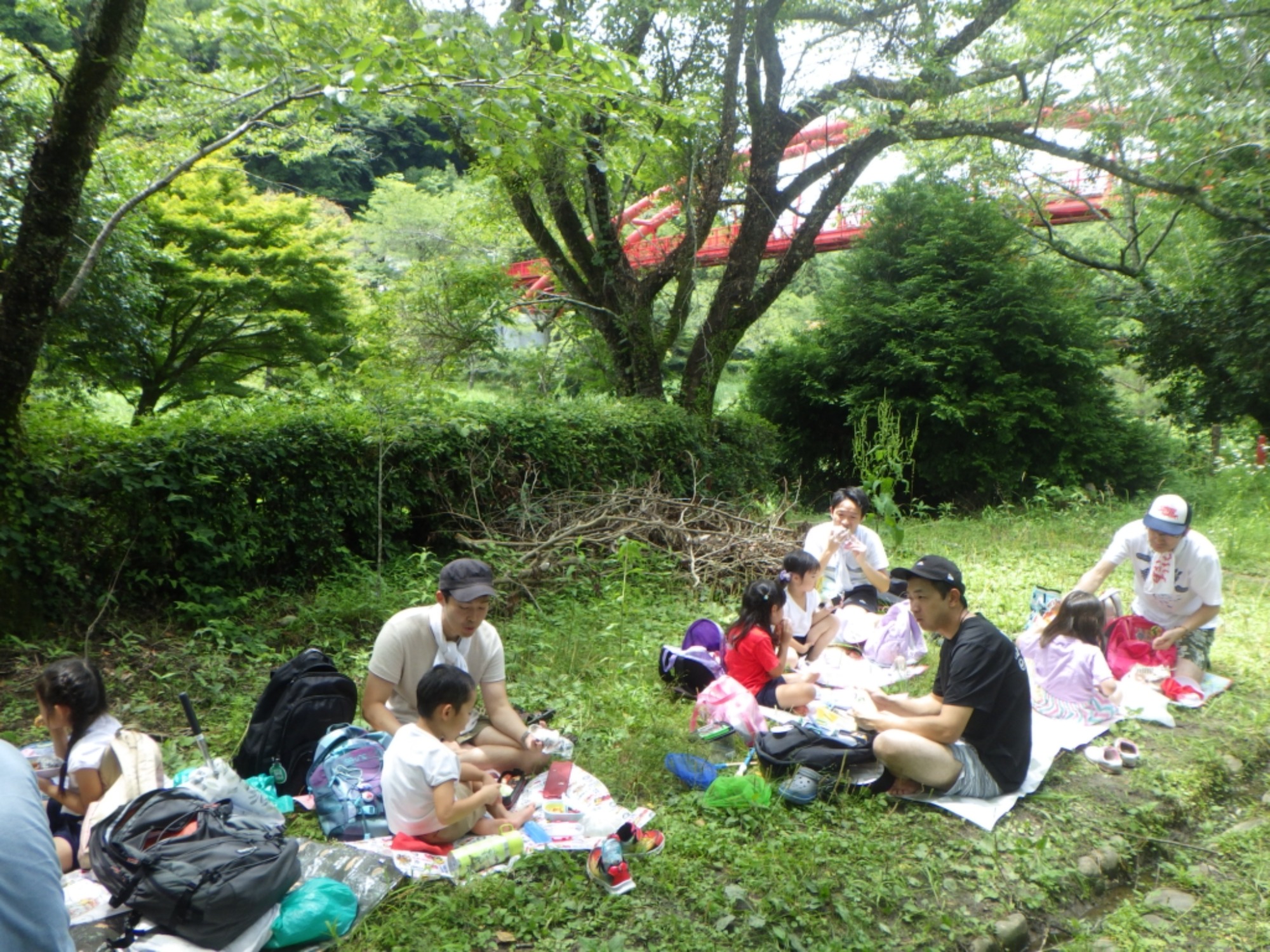 年中　川遊び園外保育（2/2）