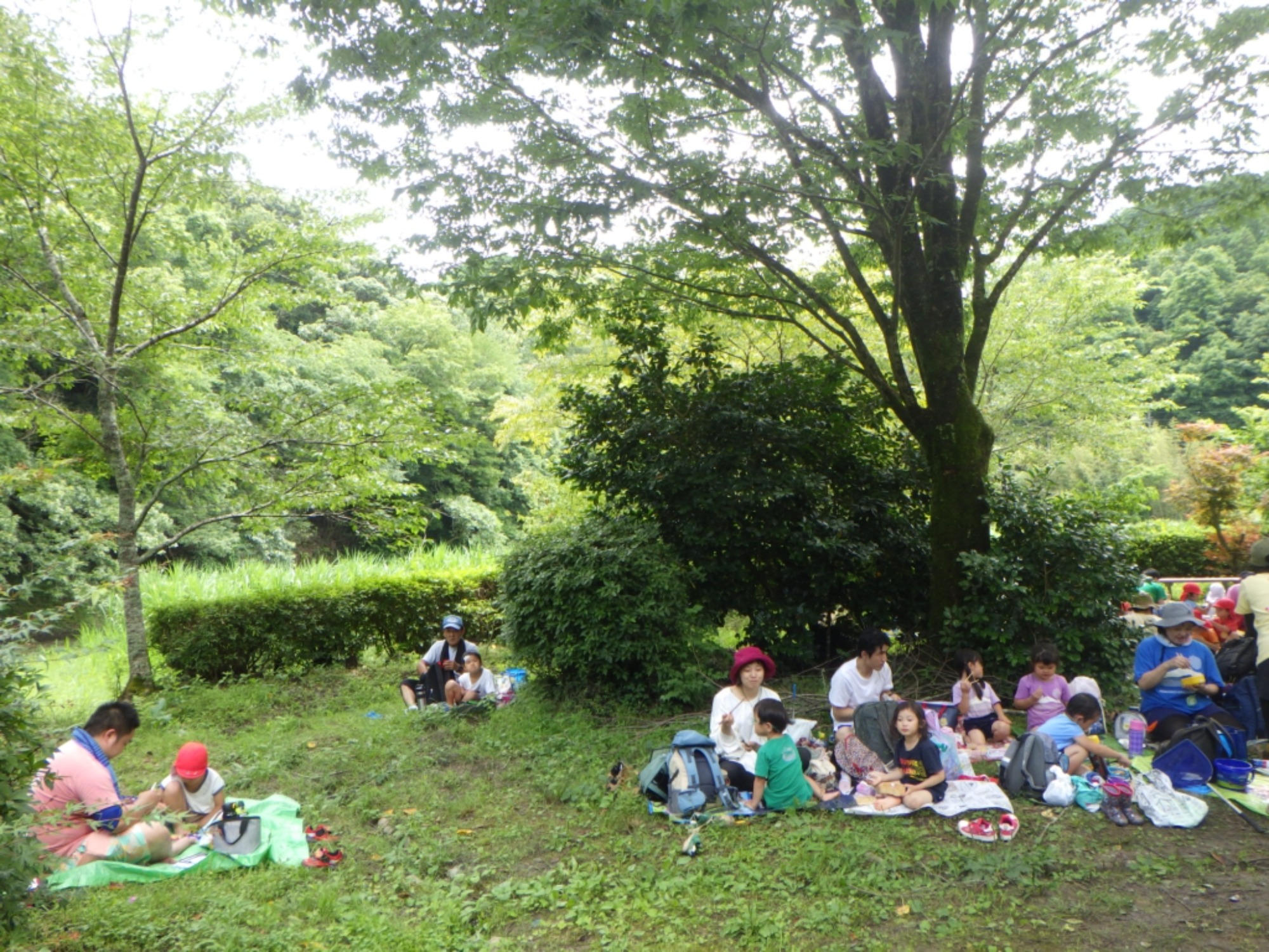 年中　川遊び園外保育（2/2）