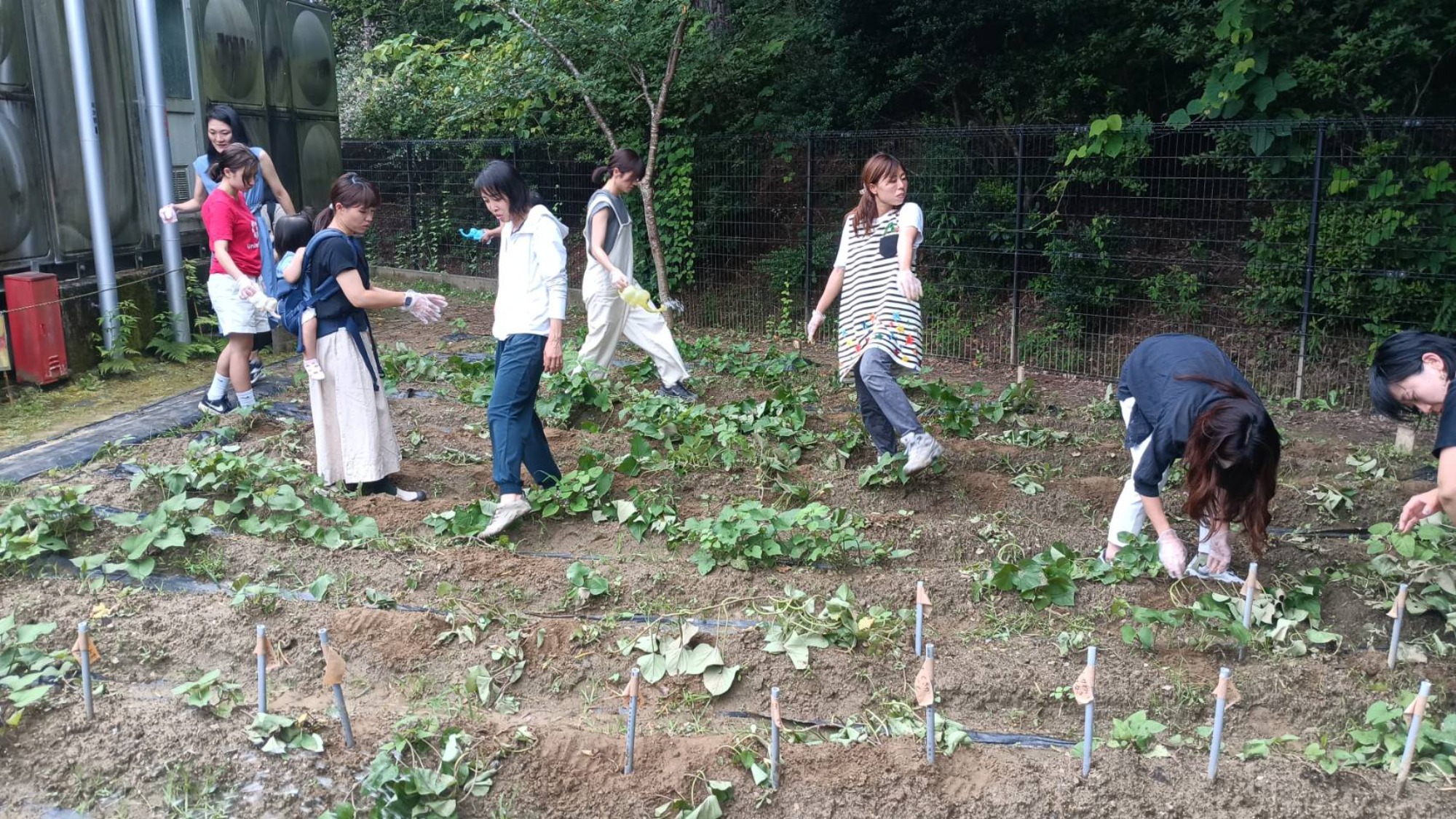 子育て学級「 幼児期の子どもたちと関わる大人として 知っておきたい性教育 」