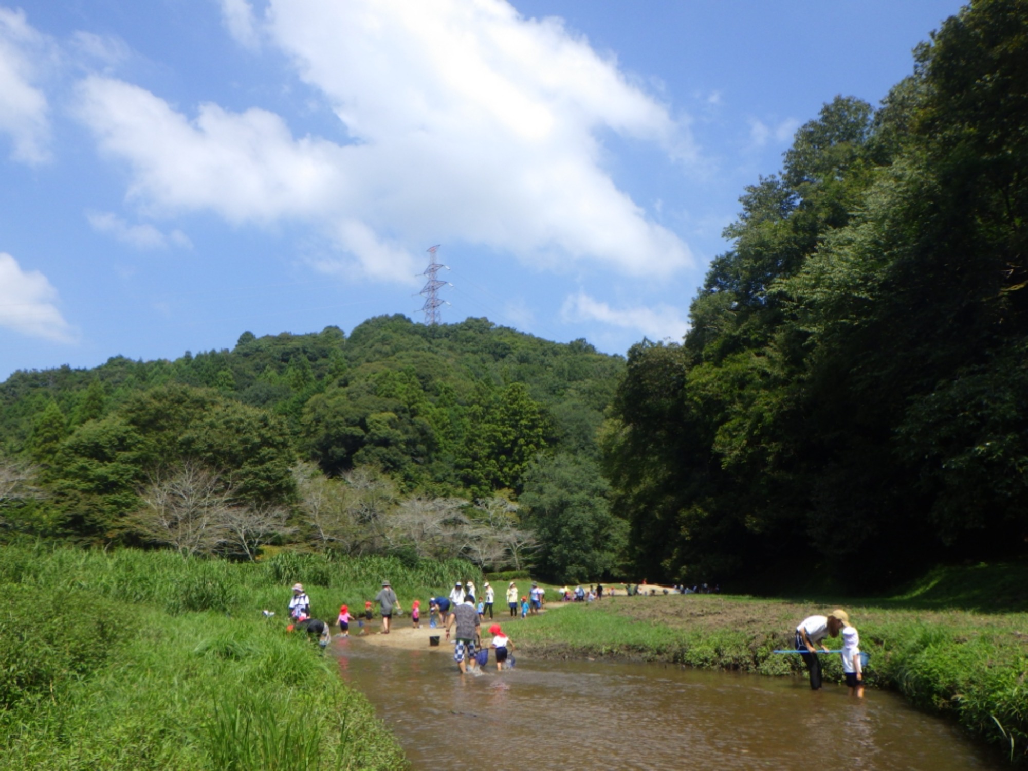 【年少】川遊び園外保育（1/2）