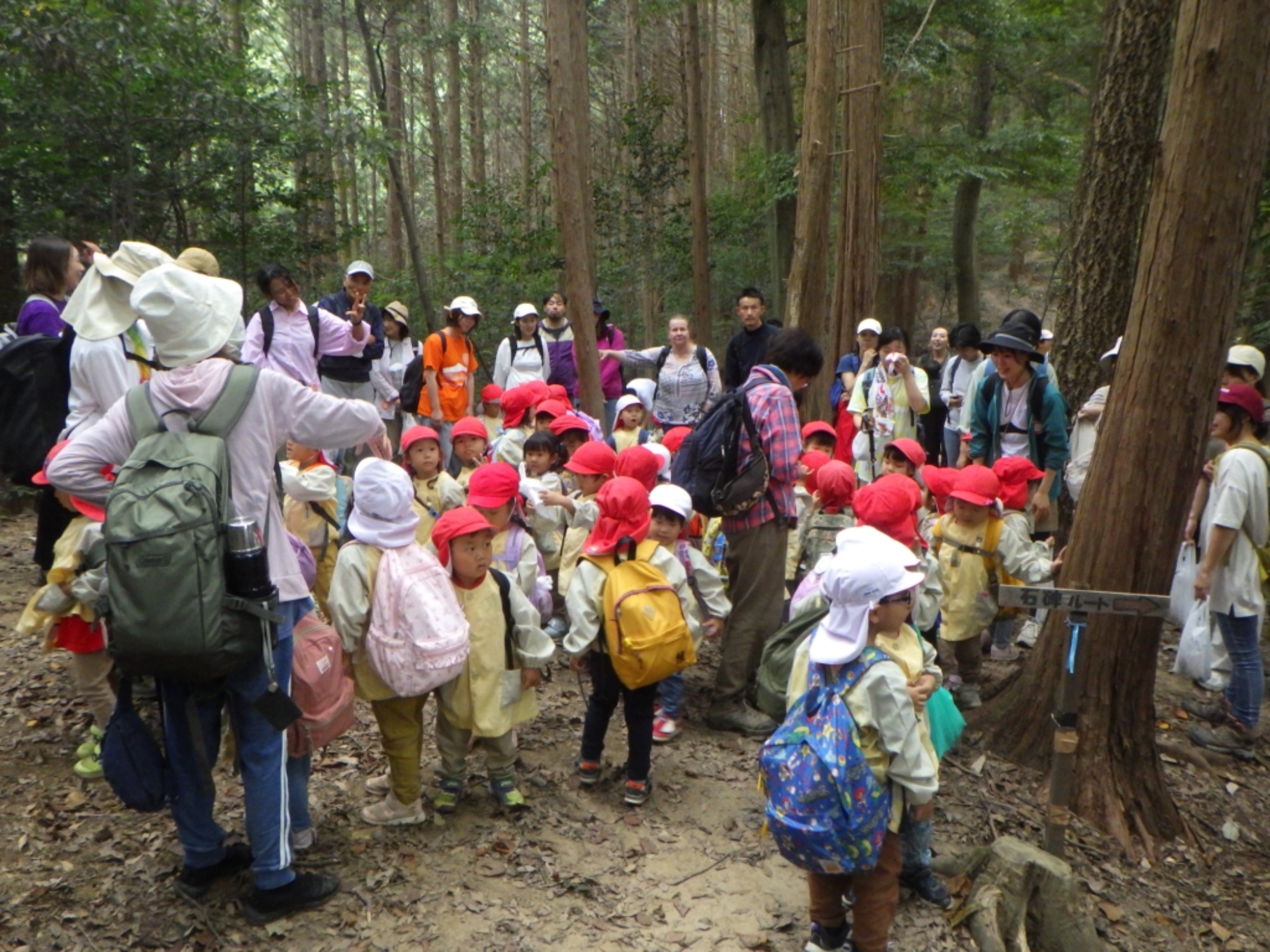 【年少】10/18　村積山　園外保育（2/2）