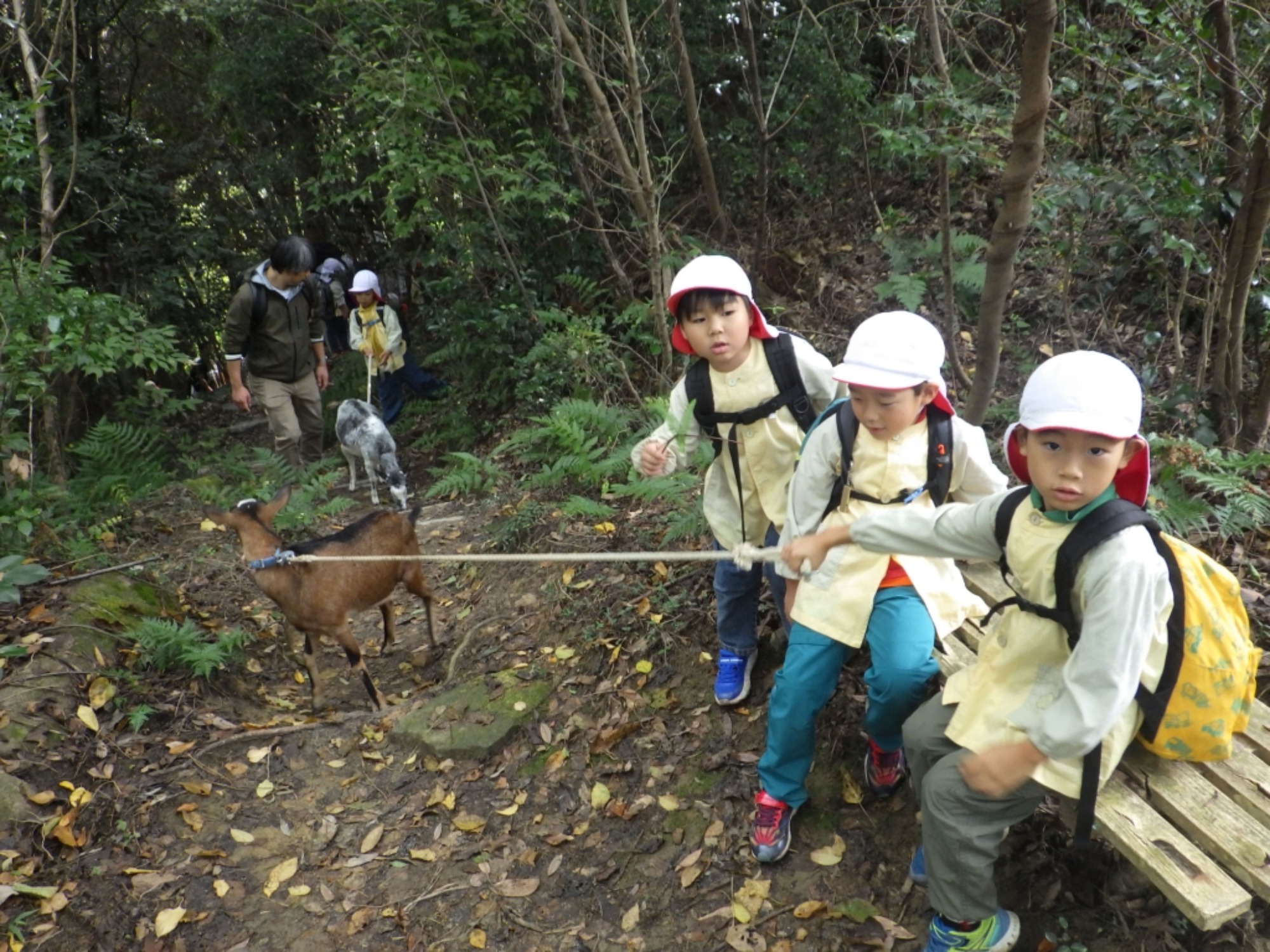 【年長】10/31　村積山　園外保育（1/3）