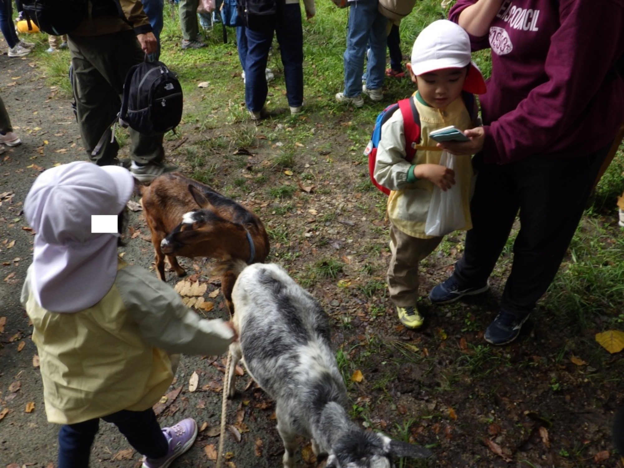 【年長】10/31　村積山　園外保育（1/3）