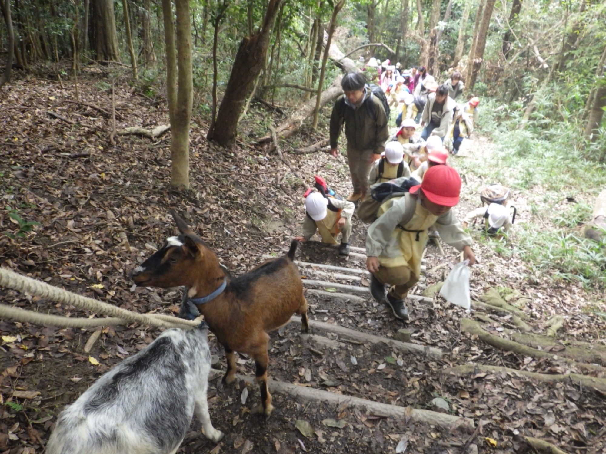 【年長】10/31　村積山　園外保育（1/3）