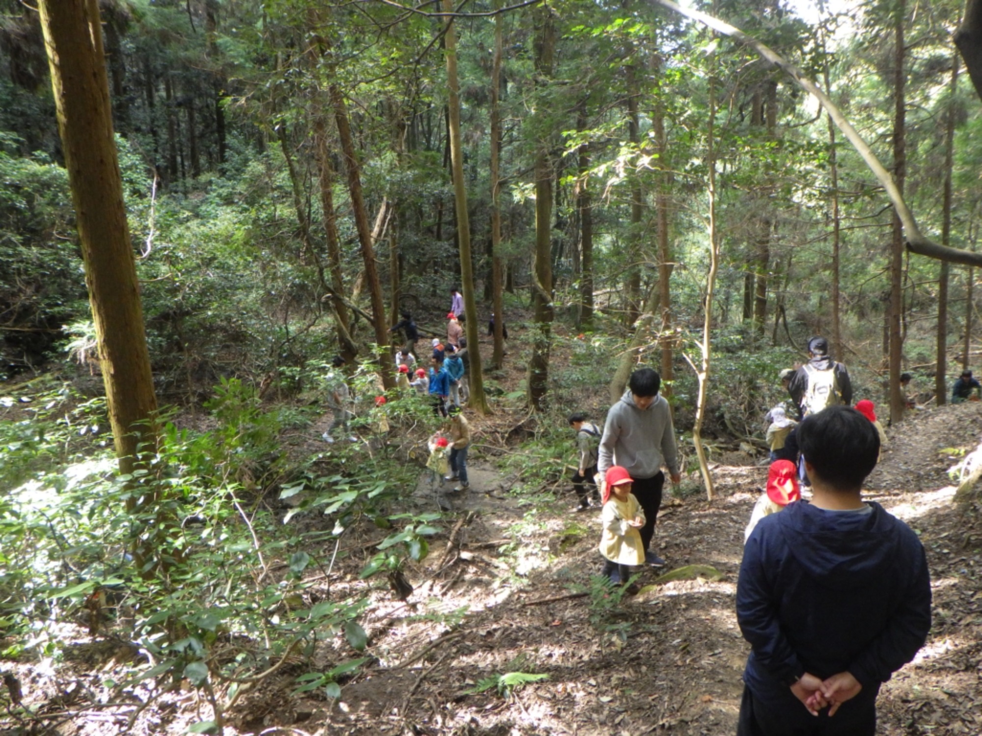 【年少】11/6　村積山　園外保育（2/3）