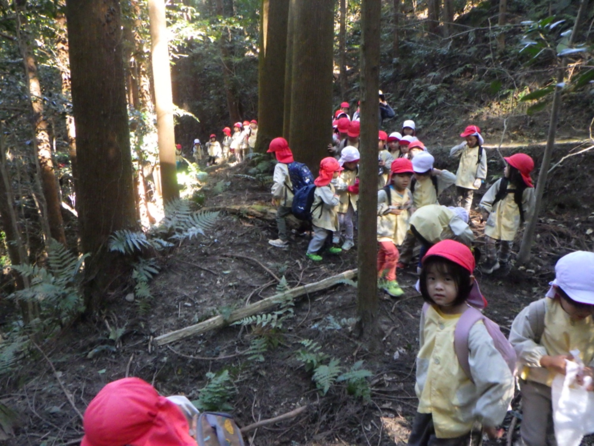 【年中】11/7　村積山　園外保育（1/3）