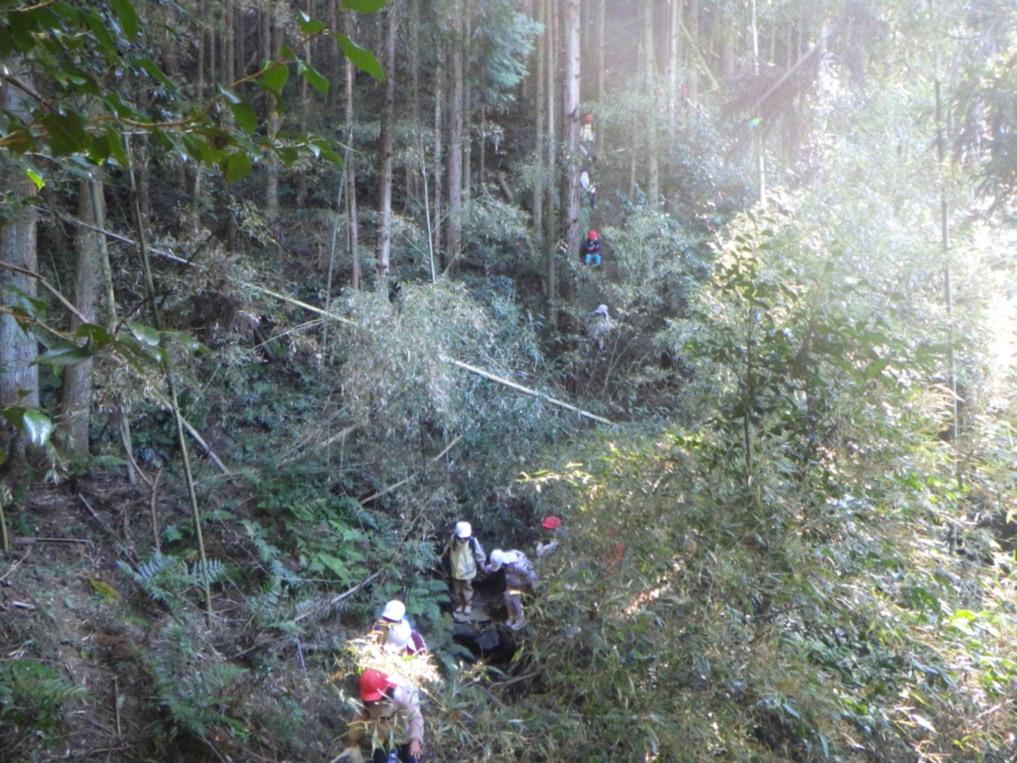 【年中】11/7　村積山　園外保育（3/3）