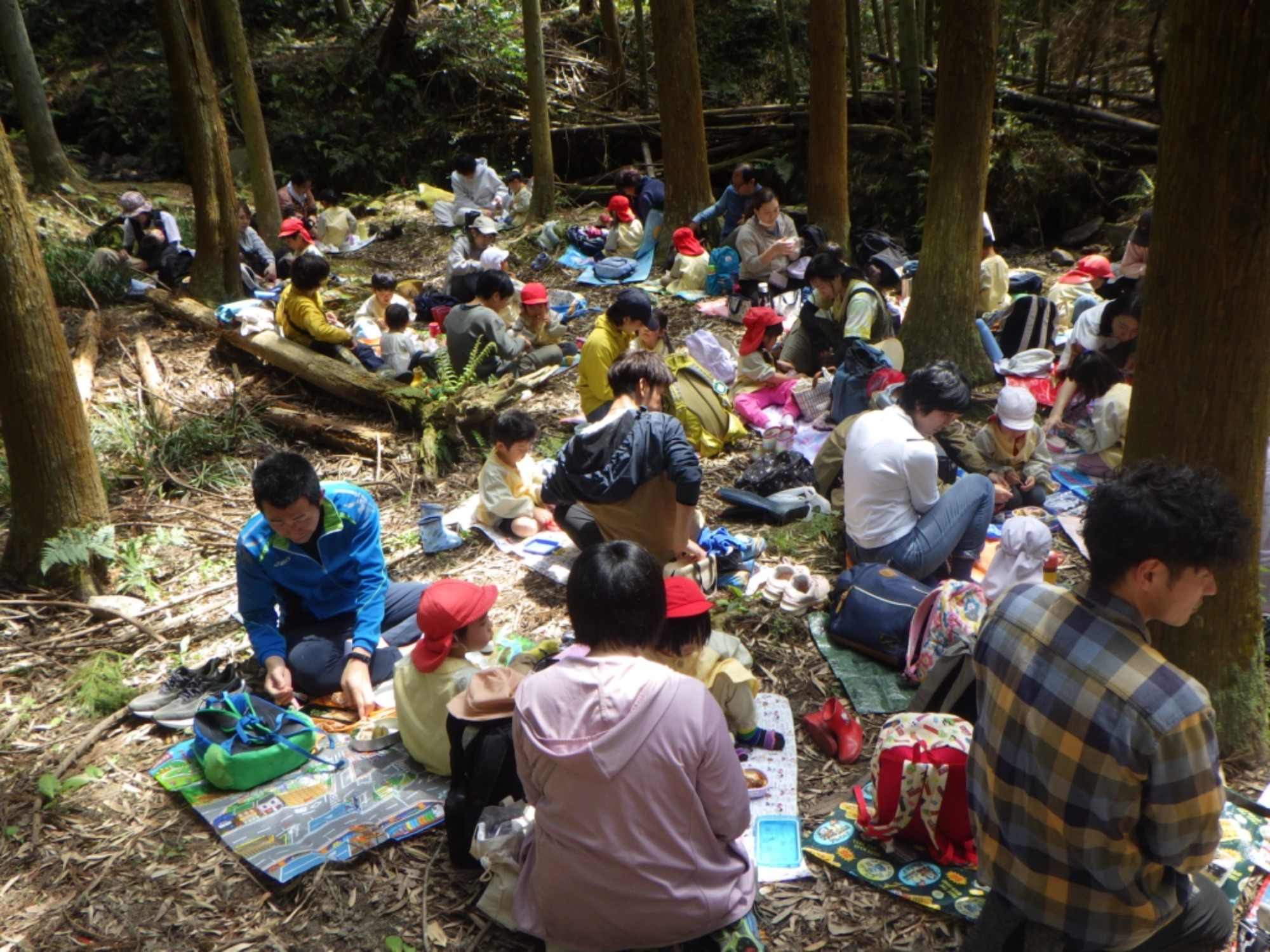 【年中】4/18　村積山　園外保育（2/2）