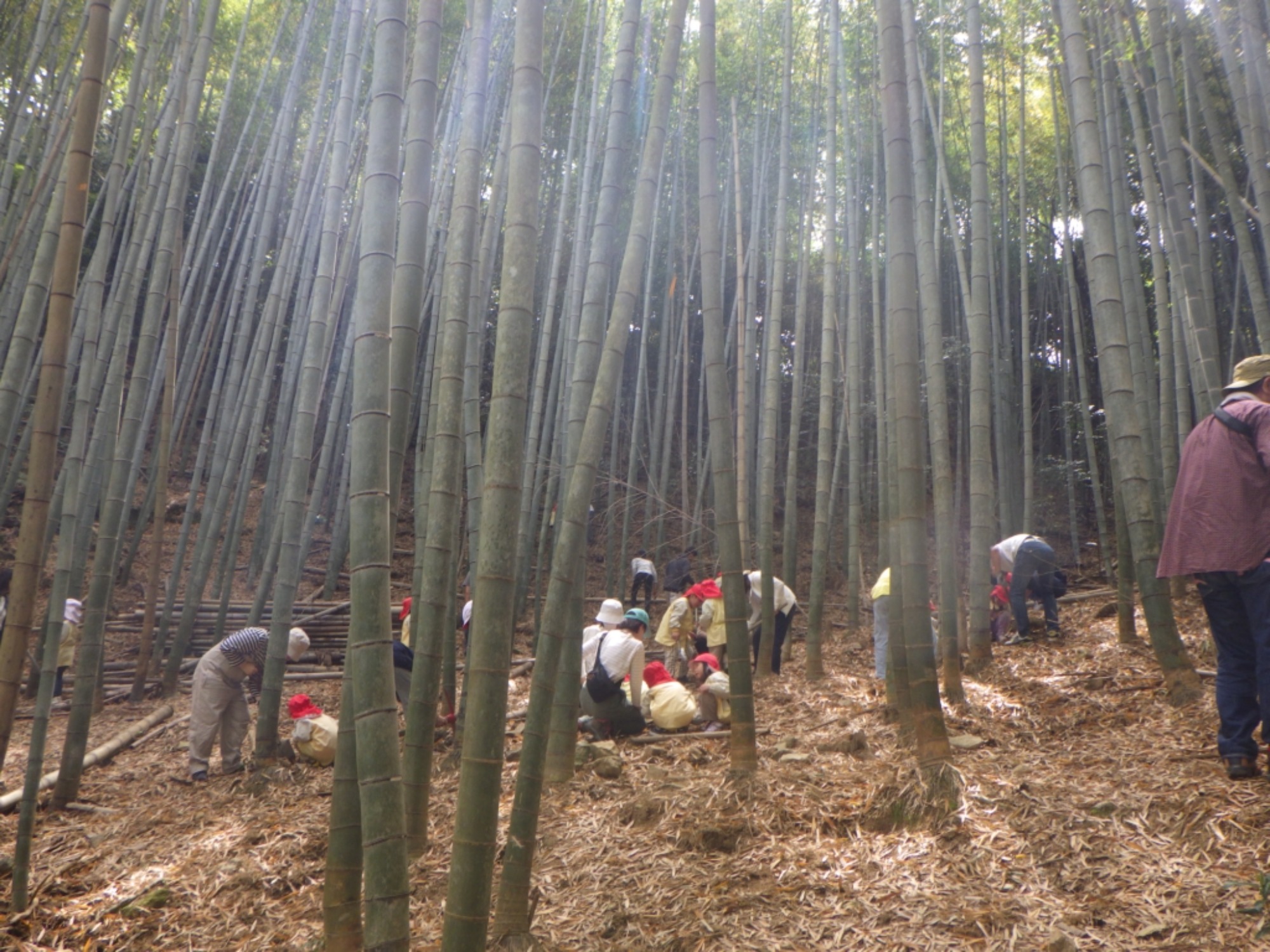 【年長】4/22　村積山　園外保育