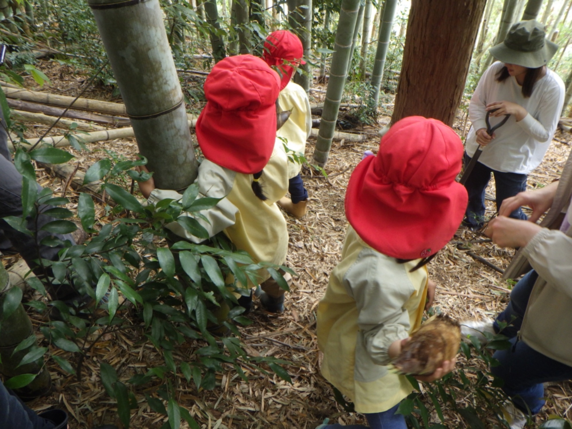 【年長】4/22　村積山　園外保育