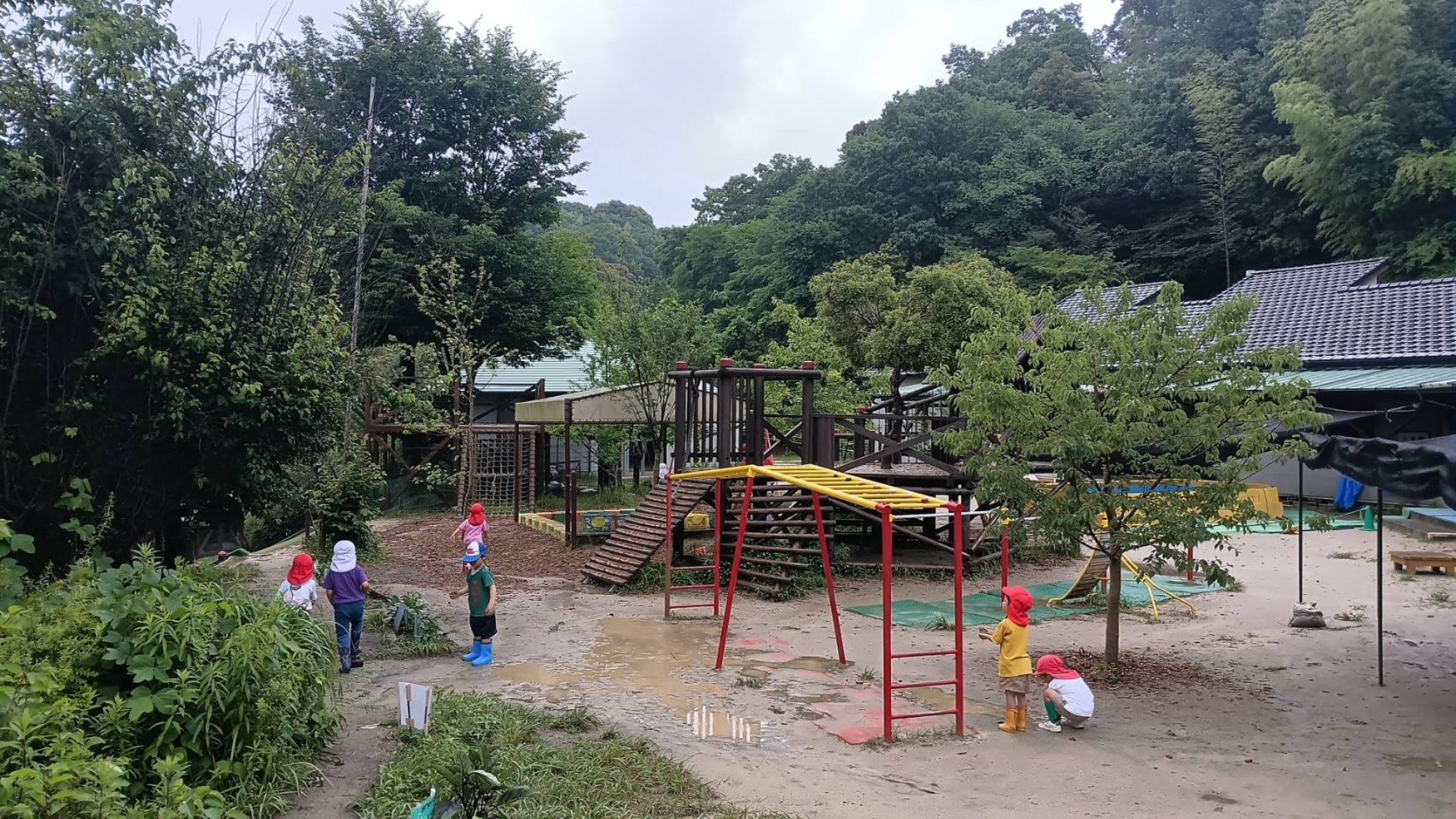 雨ざあざあ