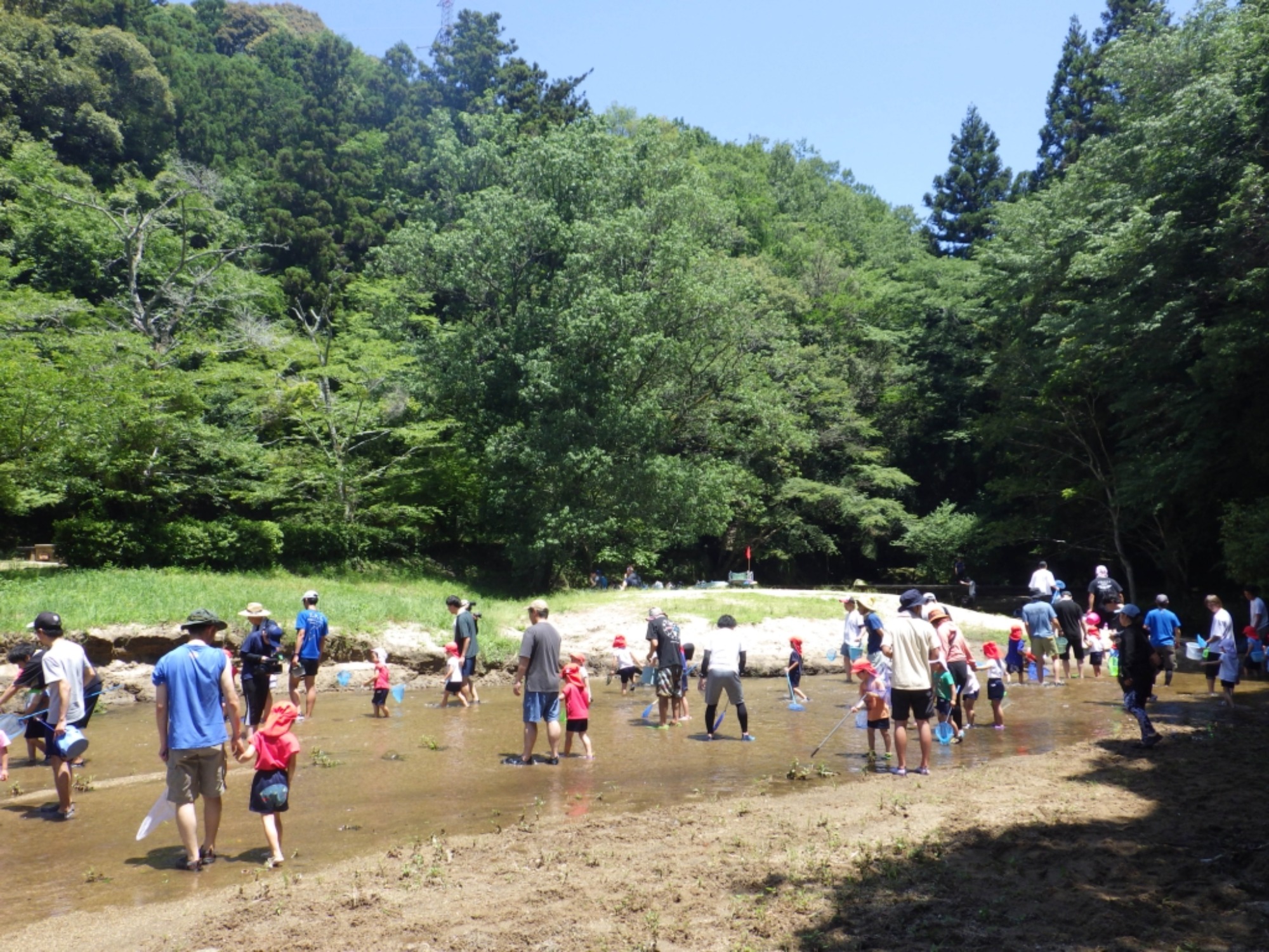 【年中】6/18　川遊び園外保育（1/2）