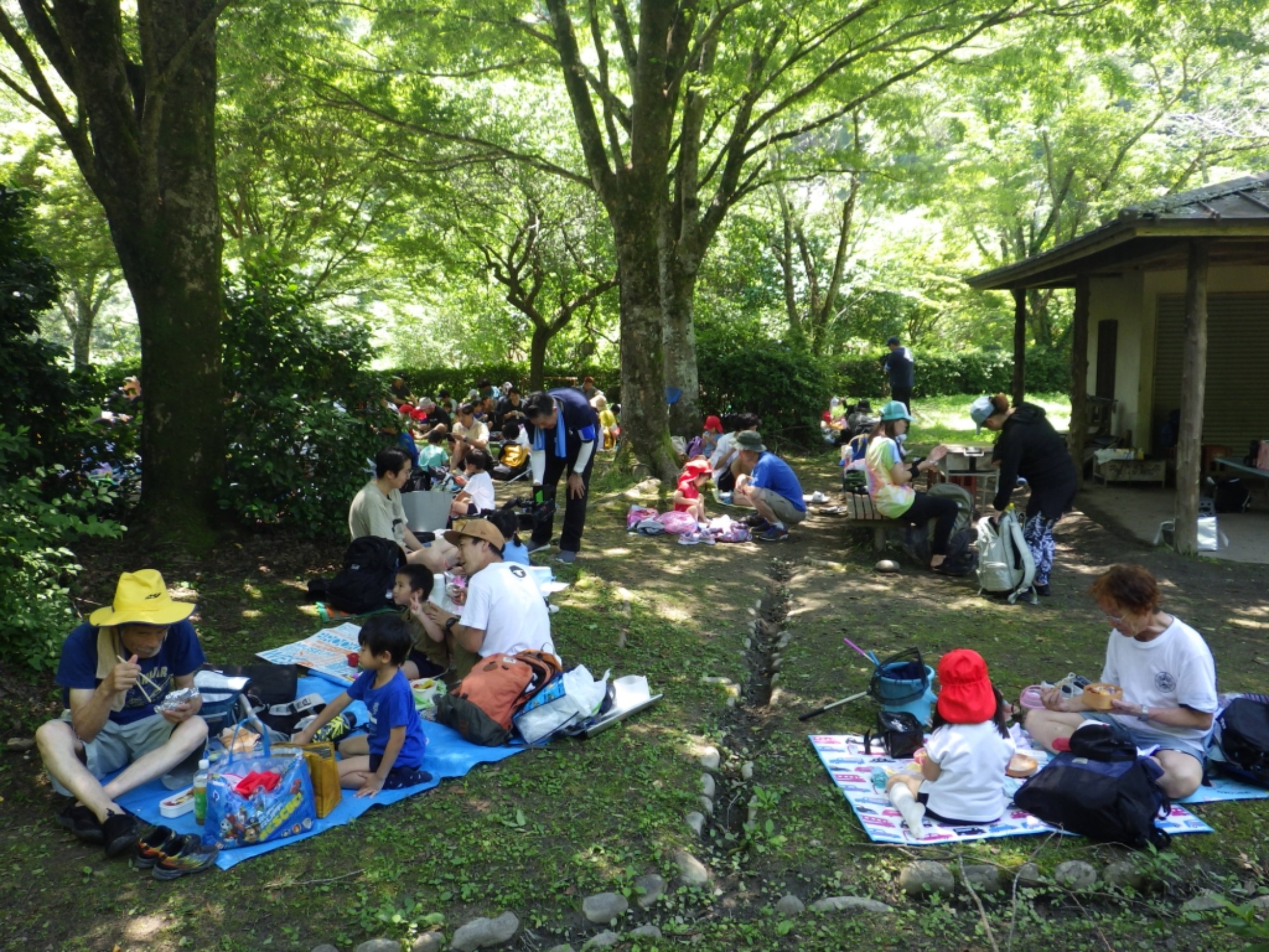 【年中】6/18　川遊び園外保育（2/2）