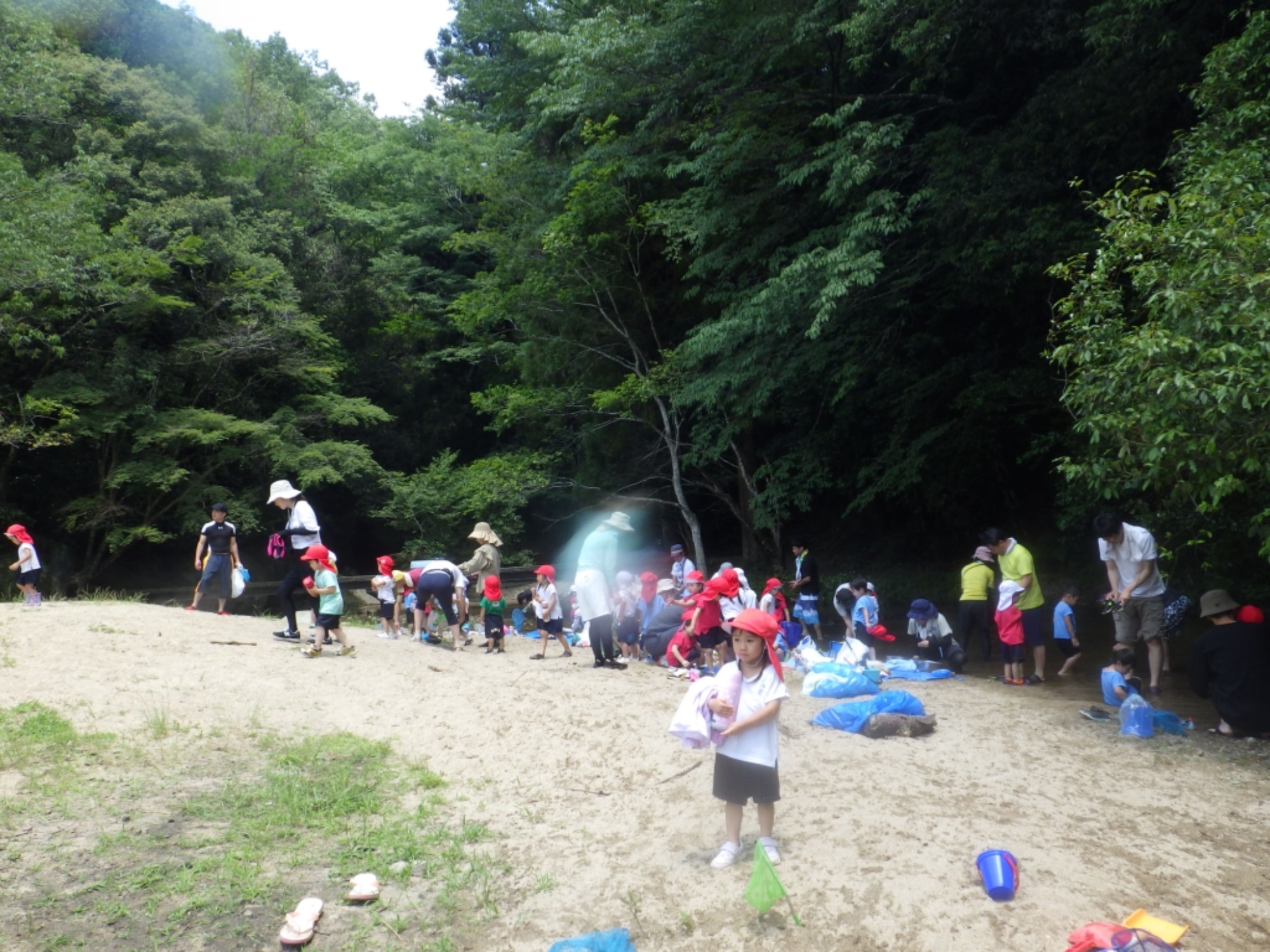 【年少】6/20　川遊び園外保育（1/2）