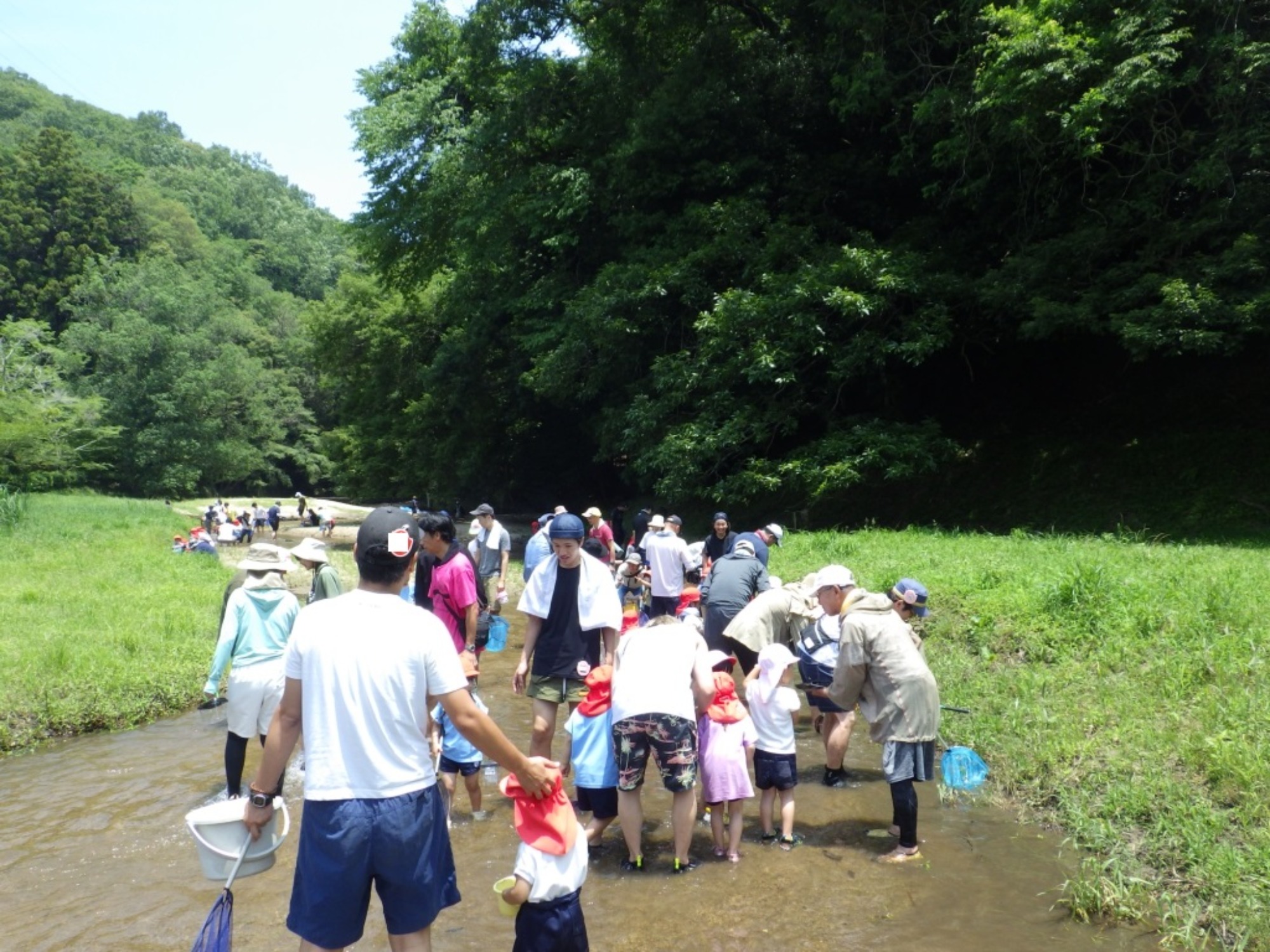 【年少】6/20　川遊び園外保育（1/2）