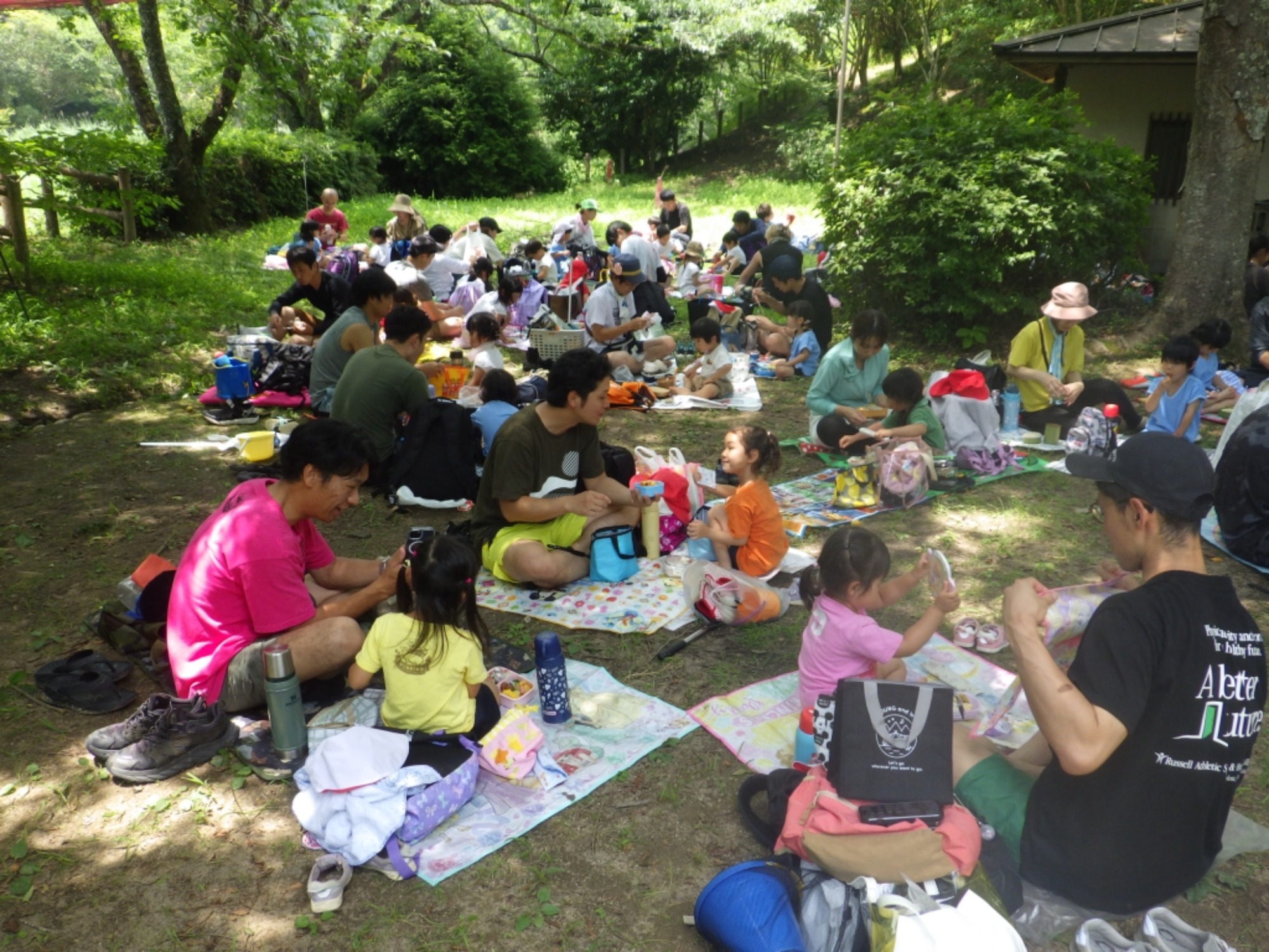 【年少】6/20　川遊び園外保育（2/2）