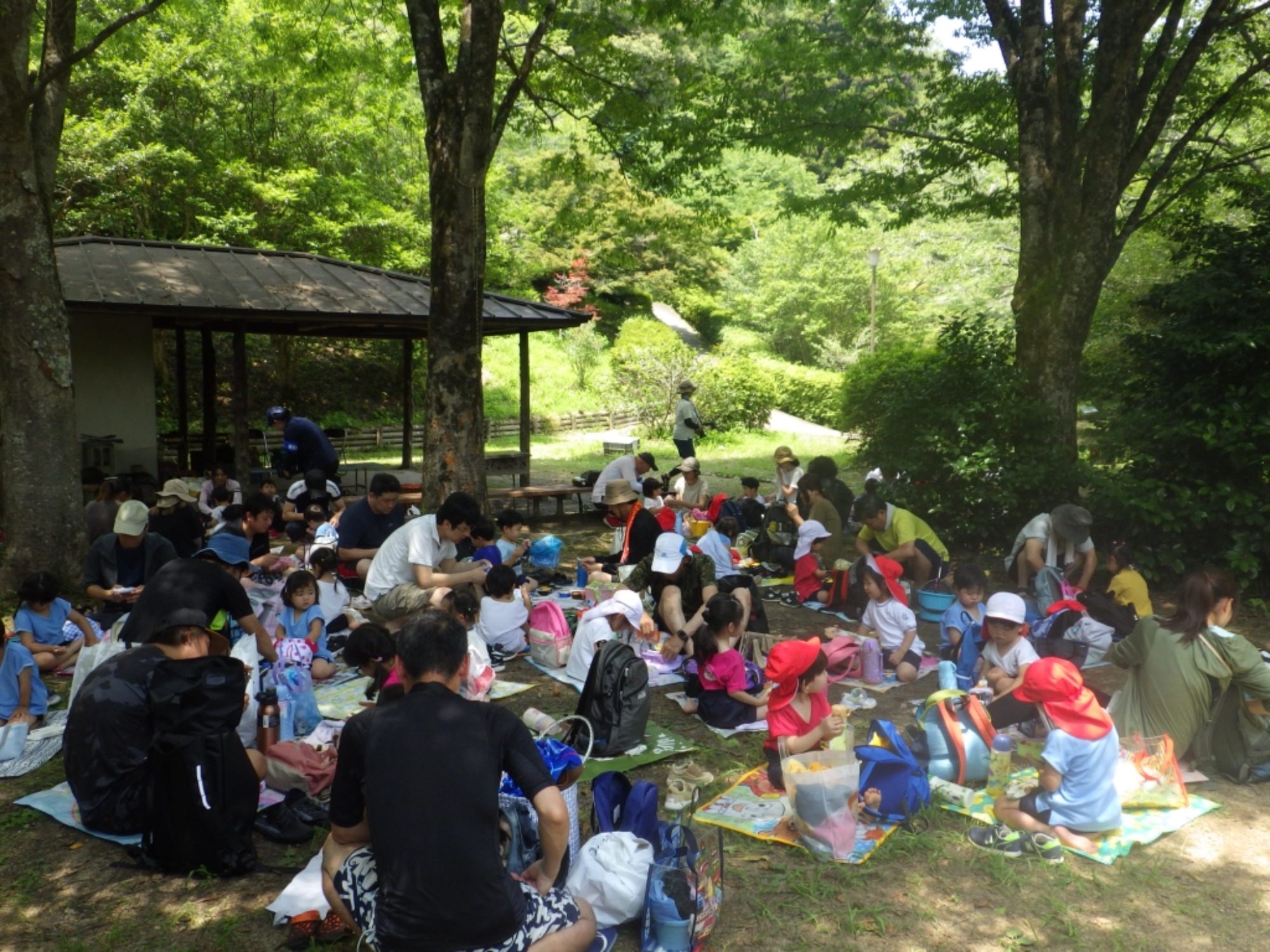 【年少】6/20　川遊び園外保育（2/2）