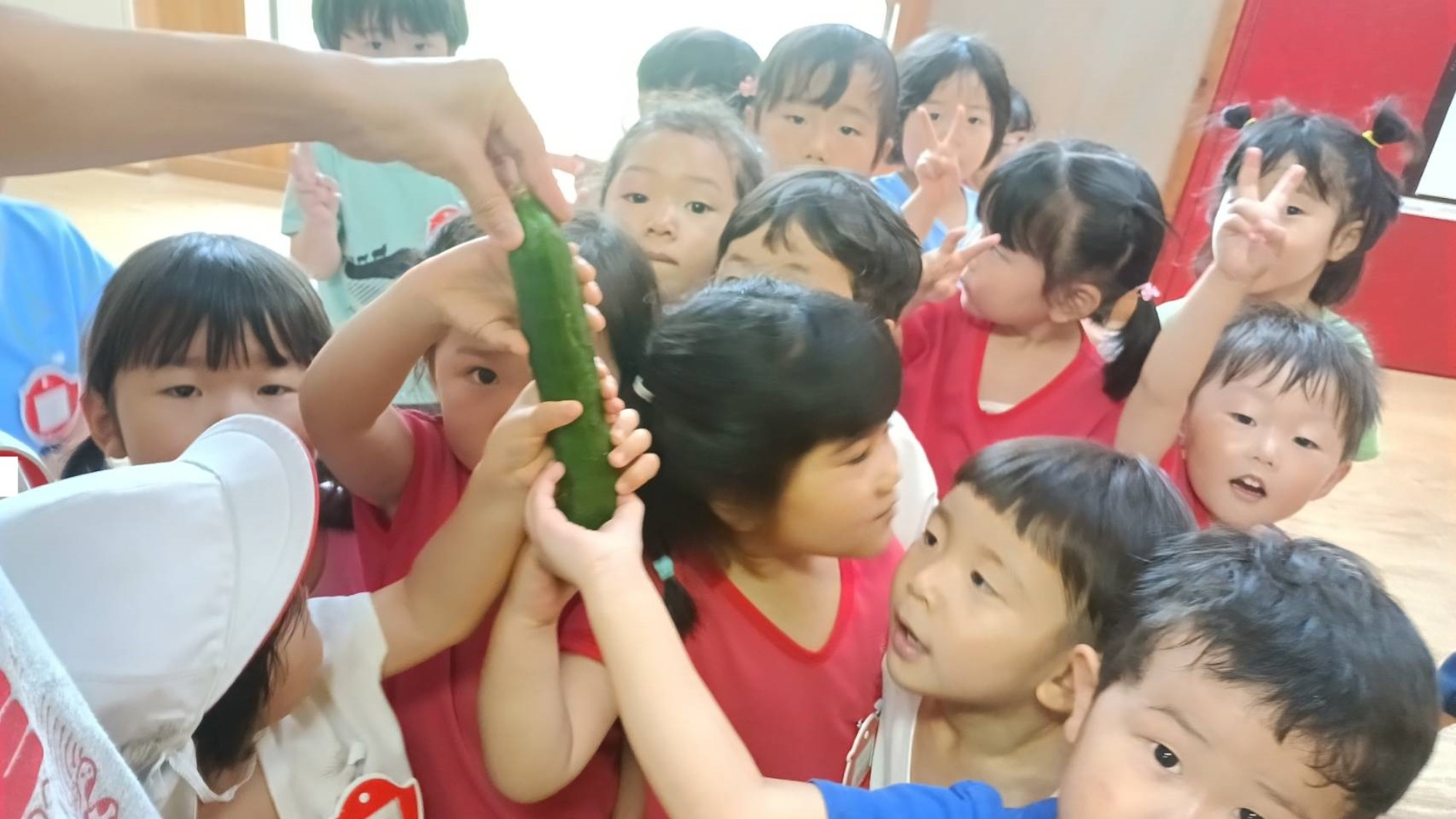 夏野菜おいしいね♪