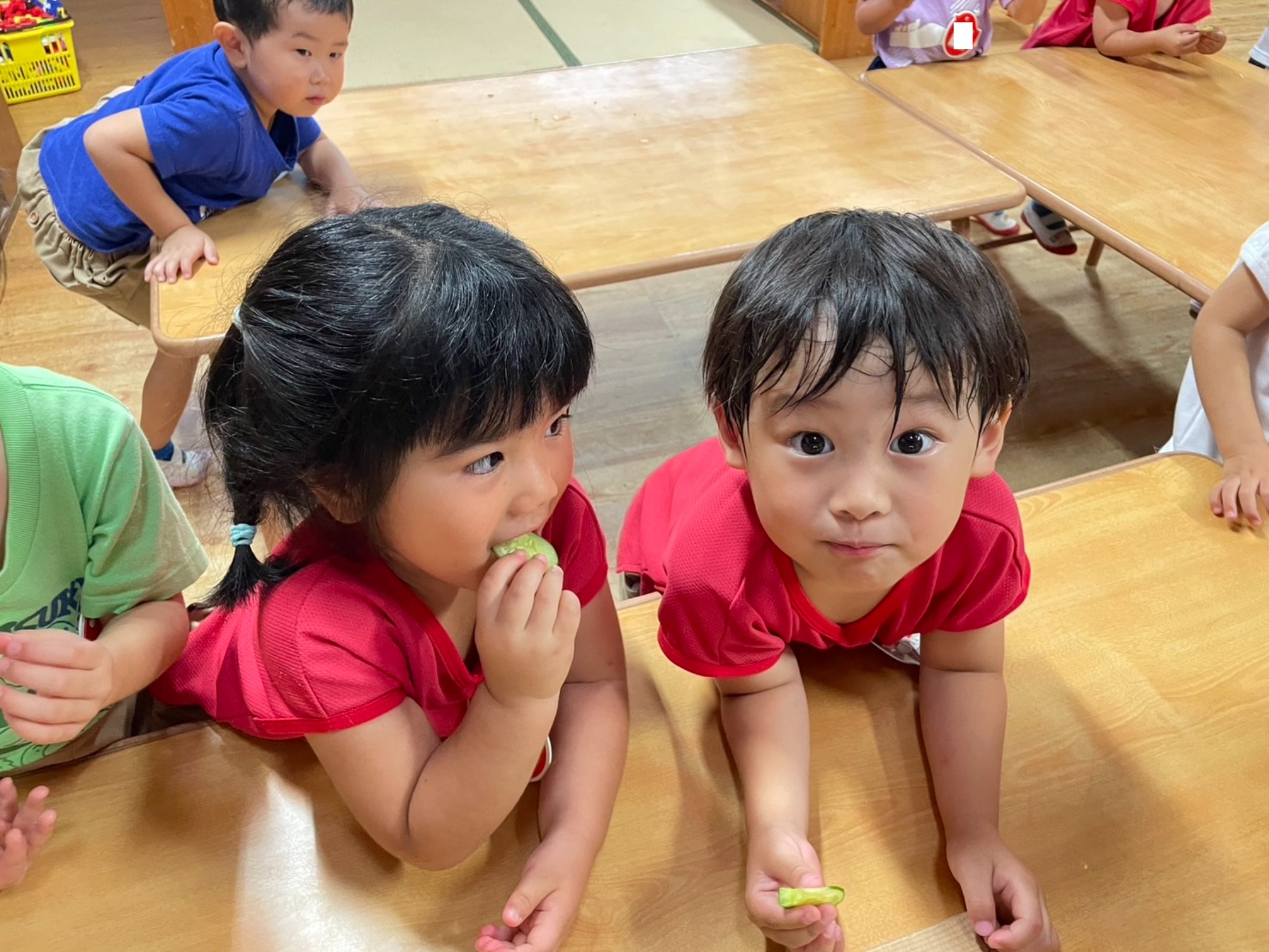 夏野菜おいしいね♪