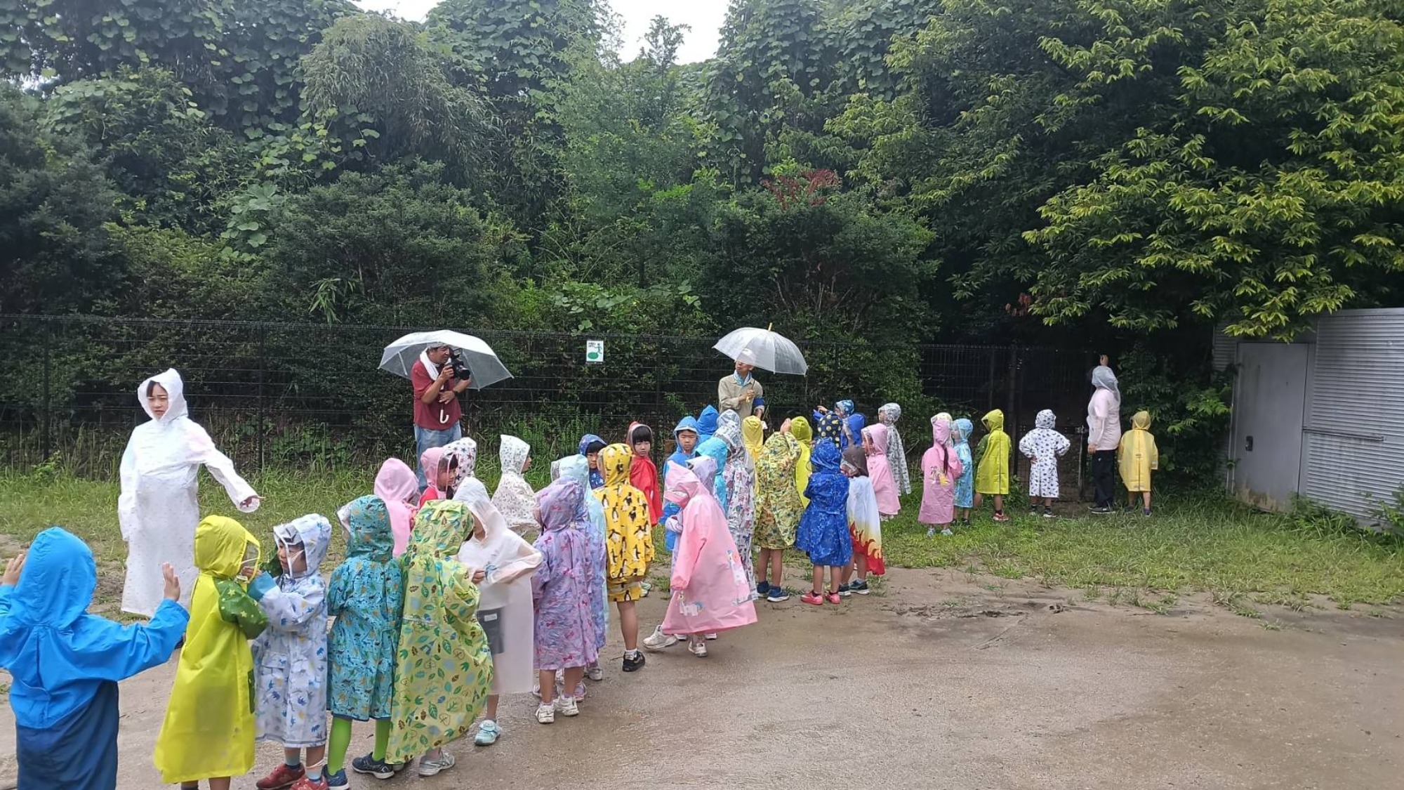 お泊まり保育