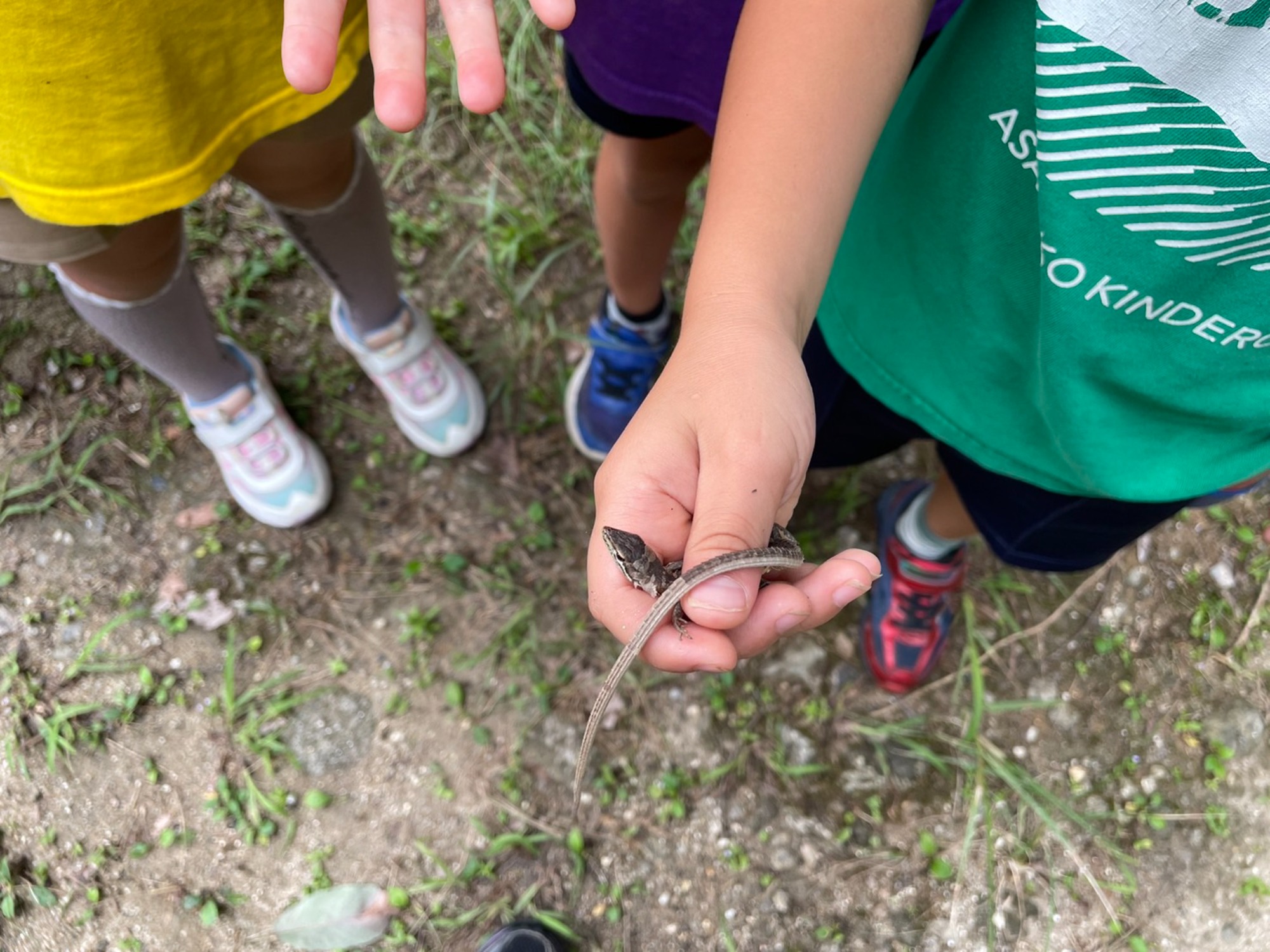 チームで保育を