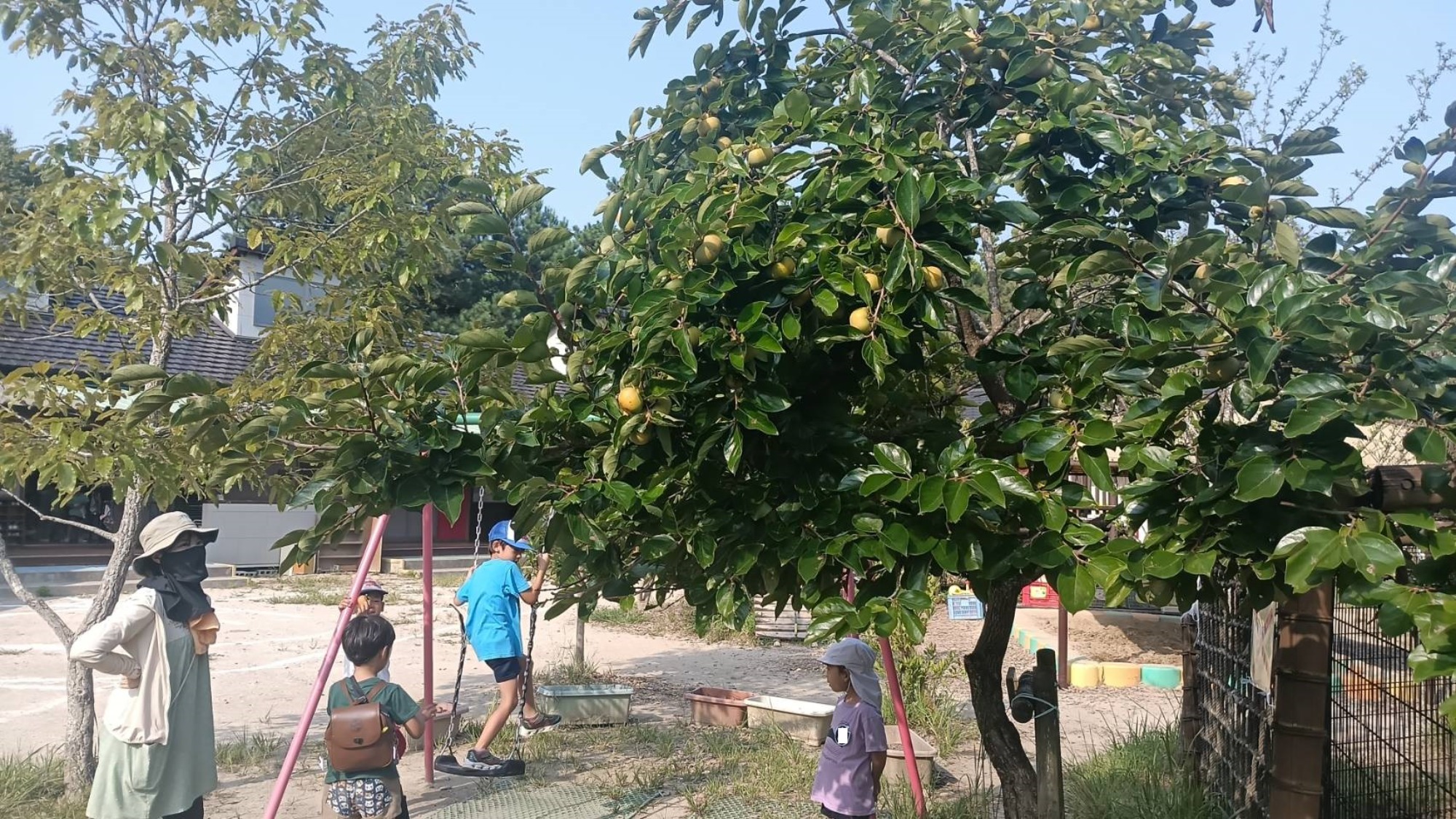 きれいなもの、奇妙なもの、美味しいもの、うれしいもの、困るもの