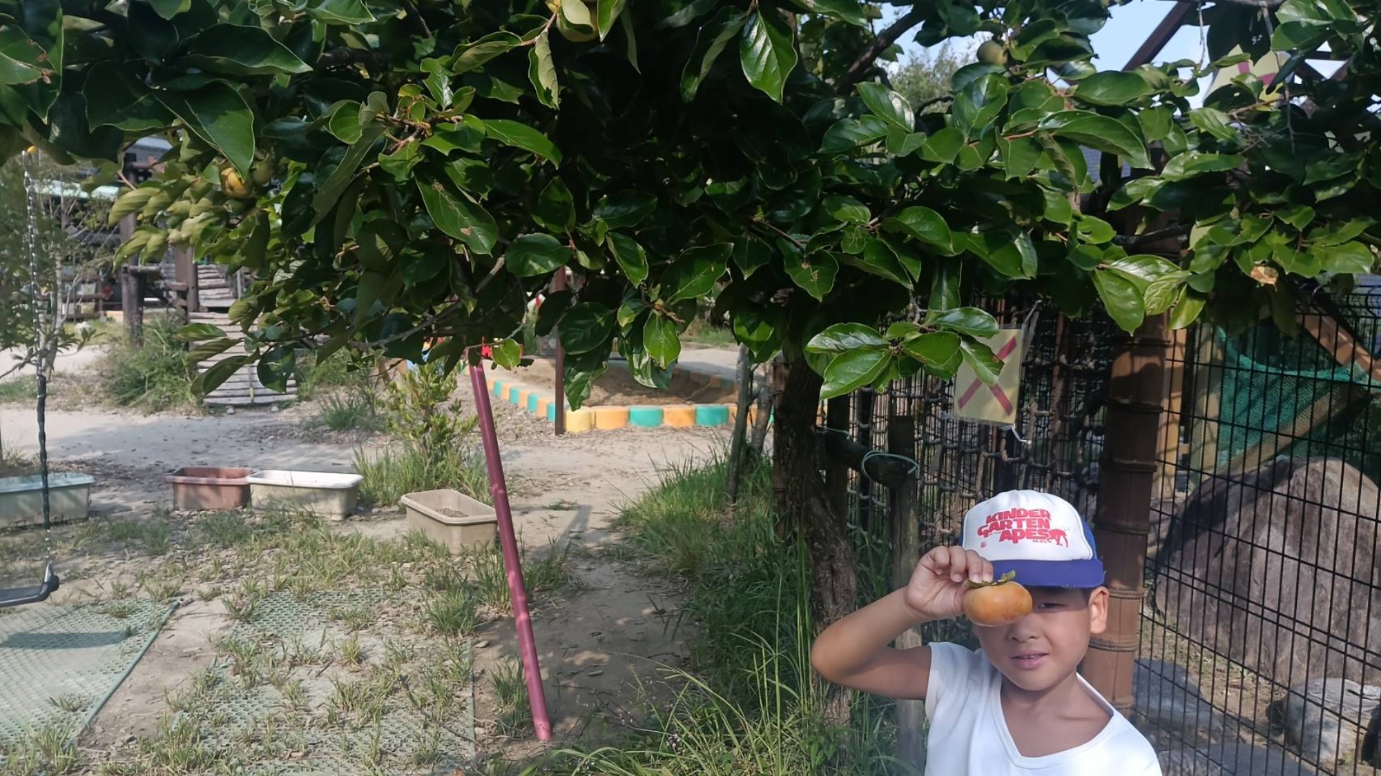 きれいなもの、奇妙なもの、美味しいもの、うれしいもの、困るもの