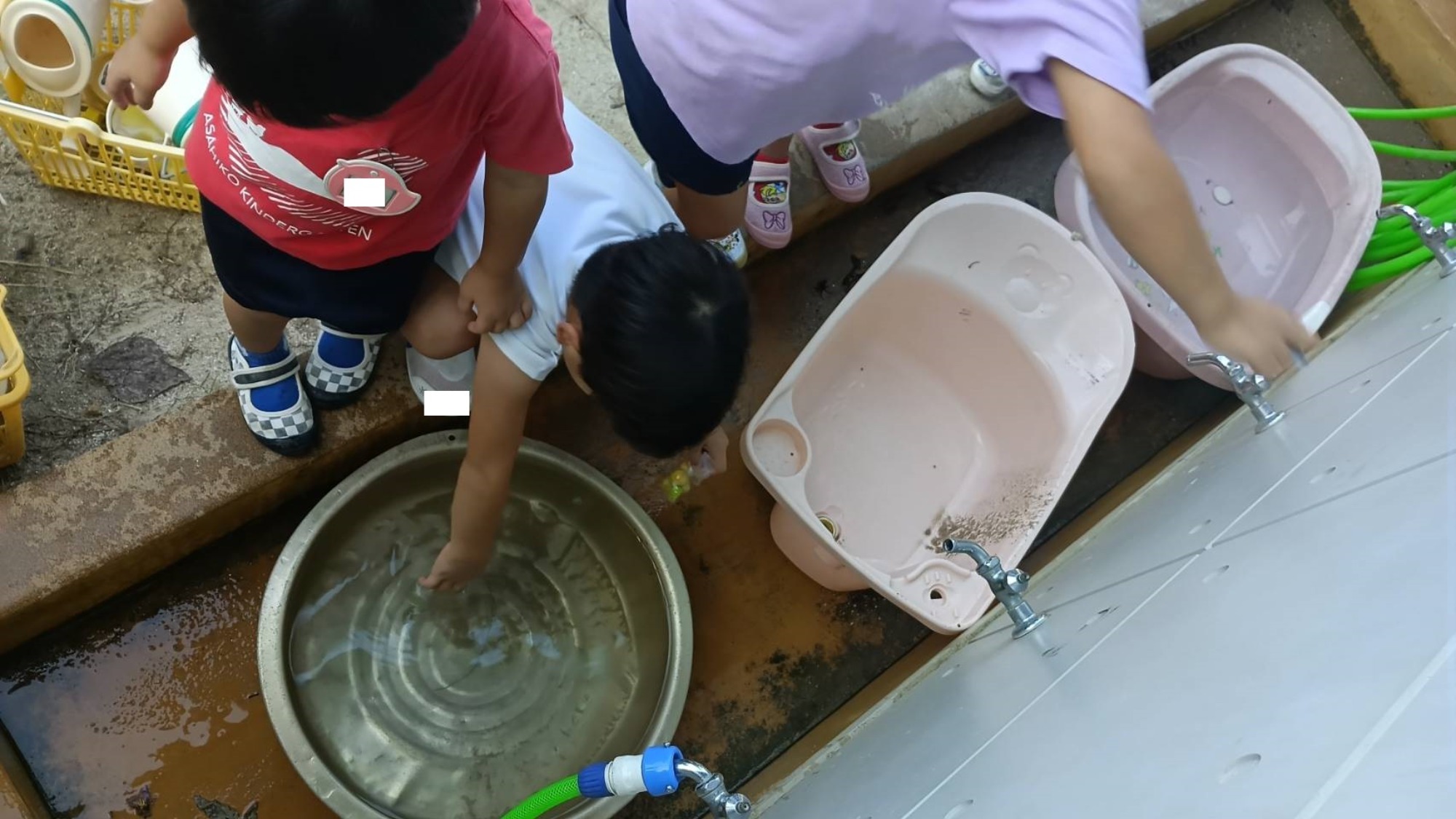 きれいなもの、奇妙なもの、美味しいもの、うれしいもの、困るもの