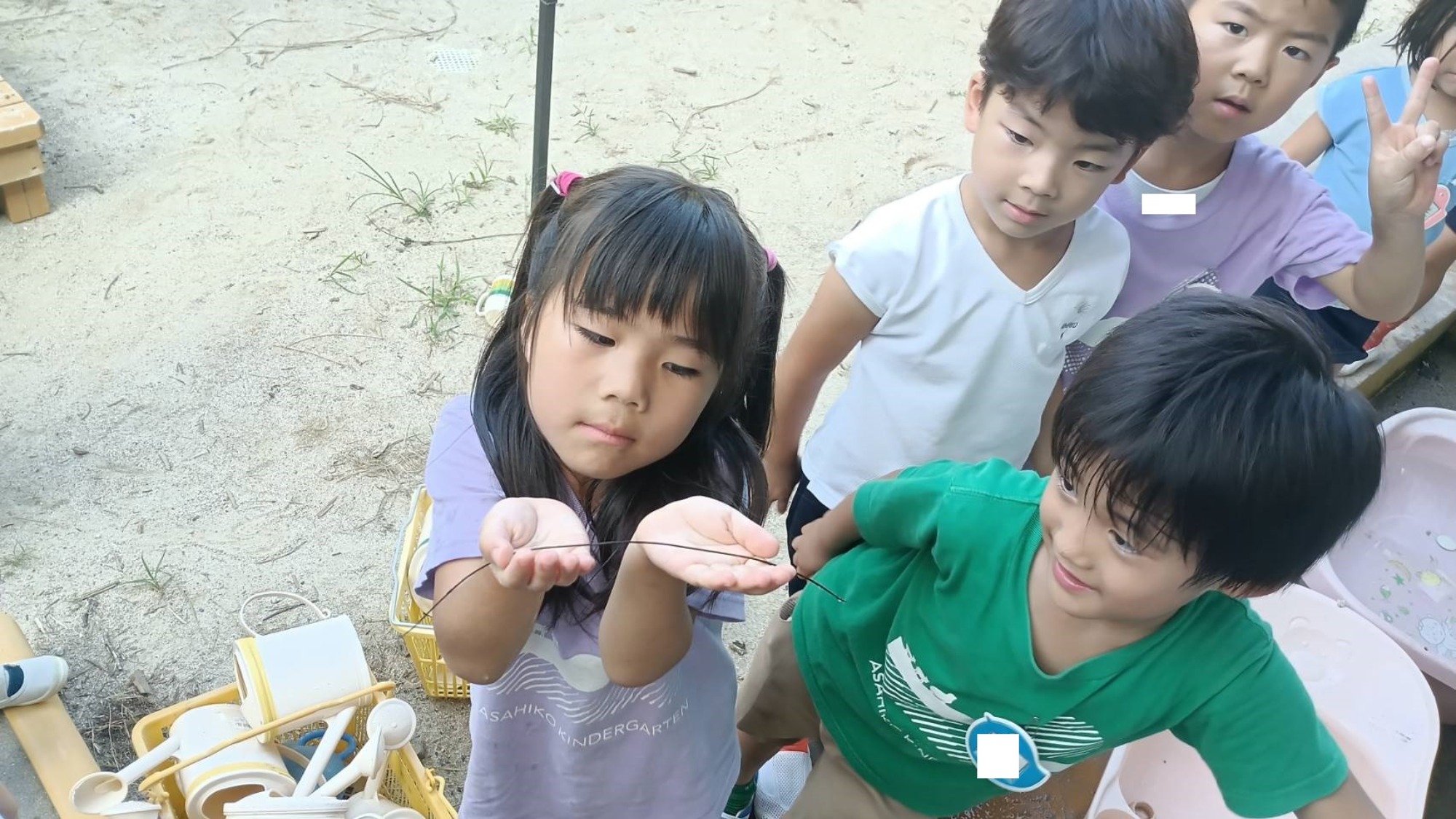 きれいなもの、奇妙なもの、美味しいもの、うれしいもの、困るもの