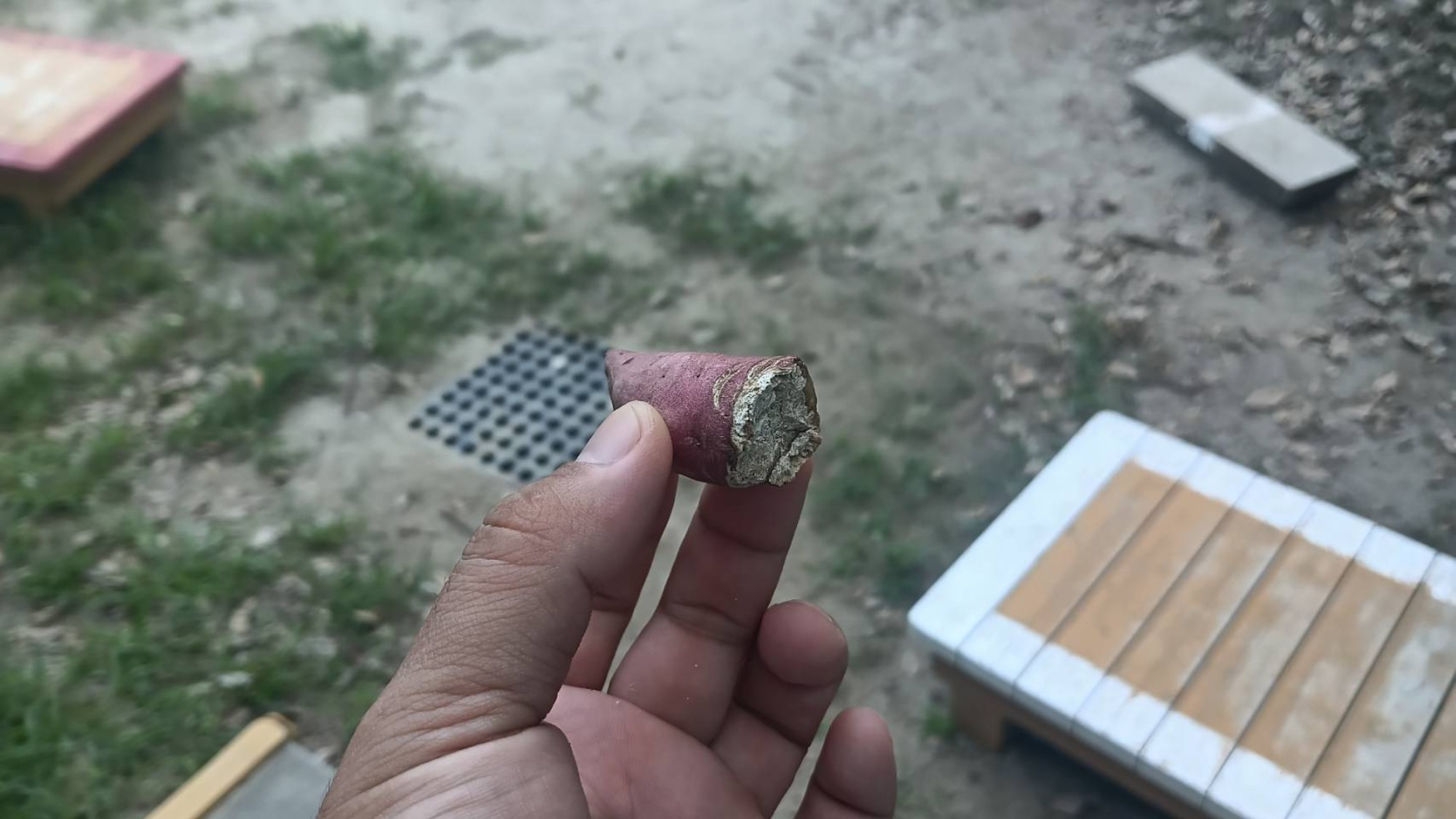 きれいなもの、奇妙なもの、美味しいもの、うれしいもの、困るもの