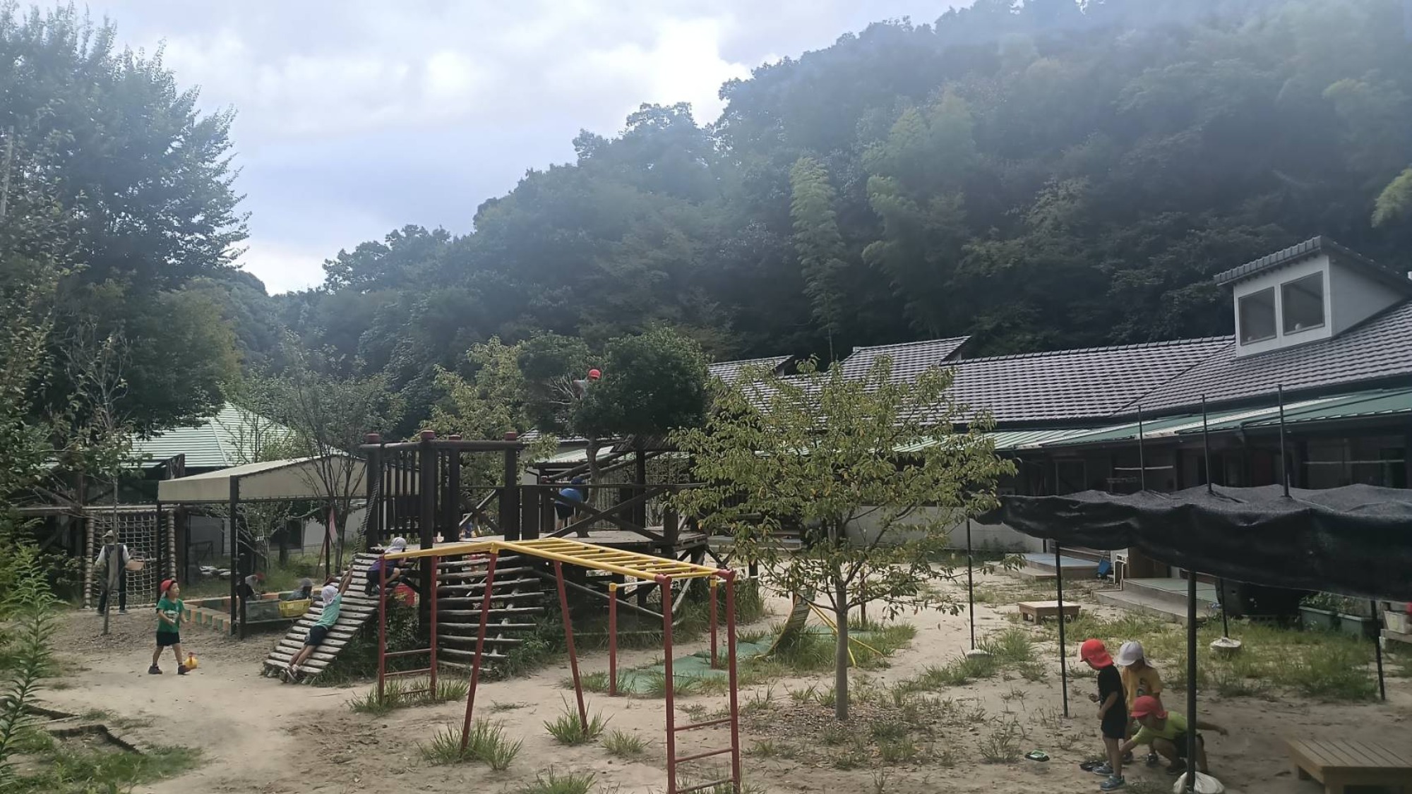 歯みがき　カナヘビ