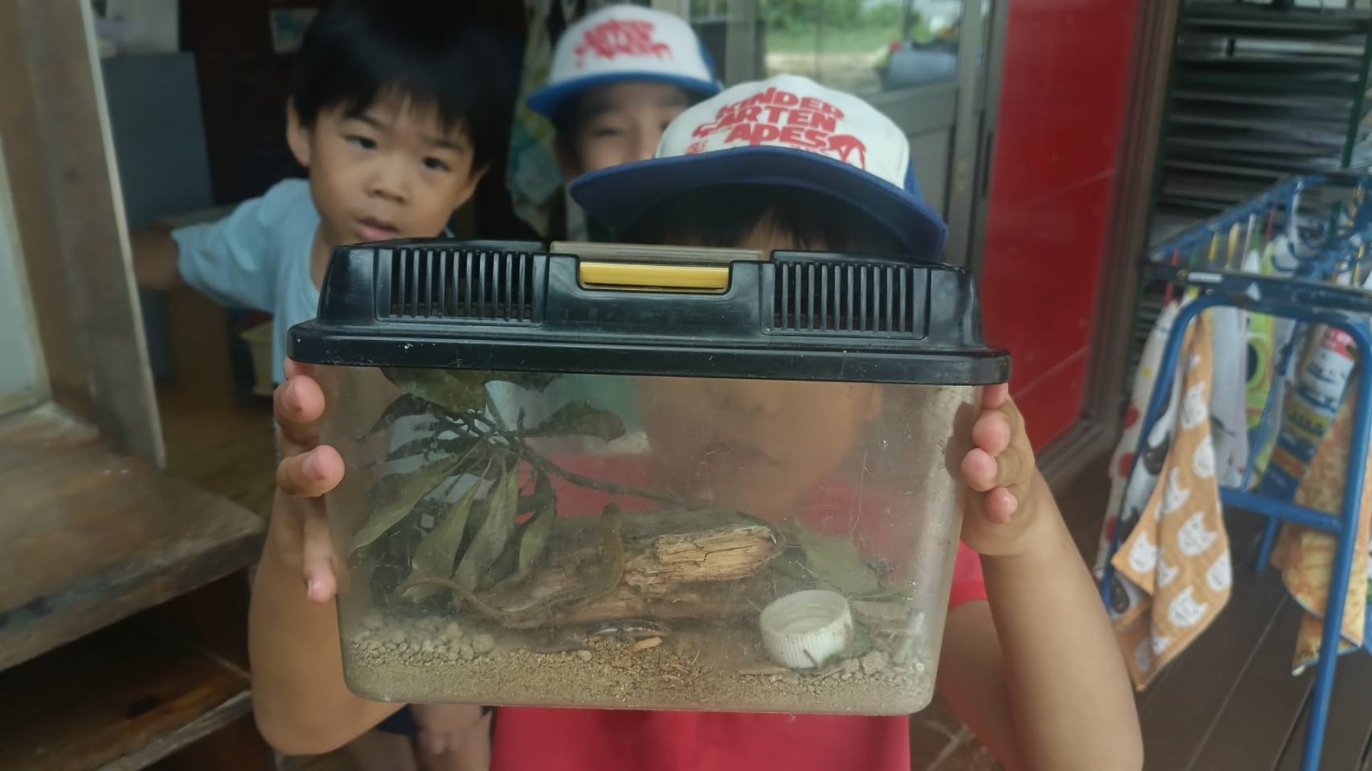 歯みがき　カナヘビ