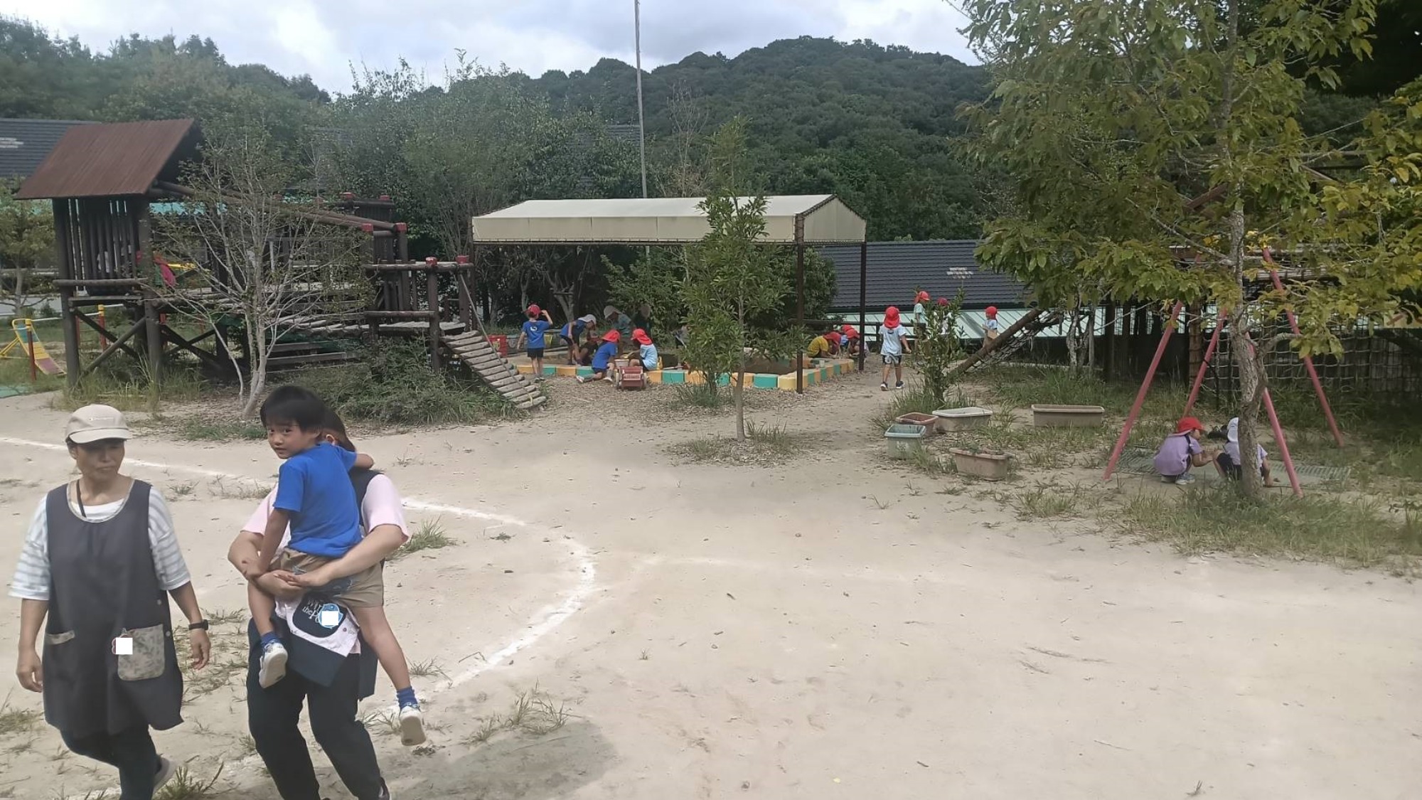 歯みがき　カナヘビ