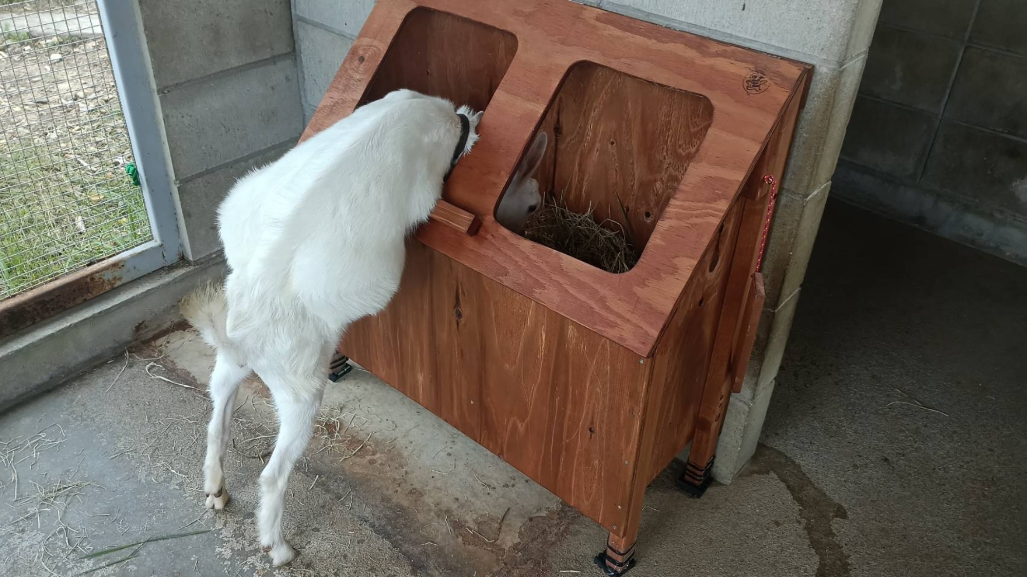 秋がやってきた