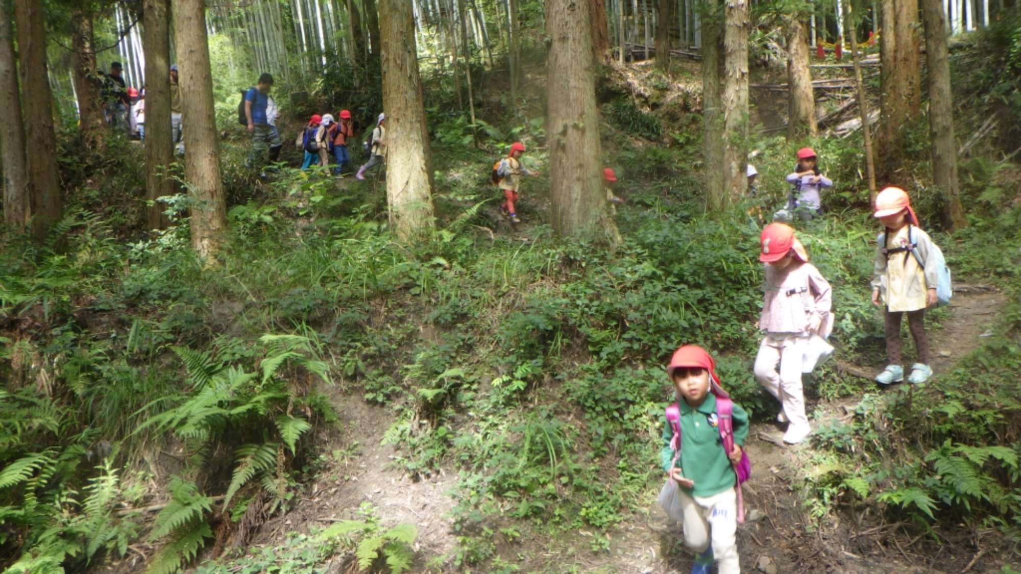【年長】村積山　イノシシ沼　園外保育（1/4）
