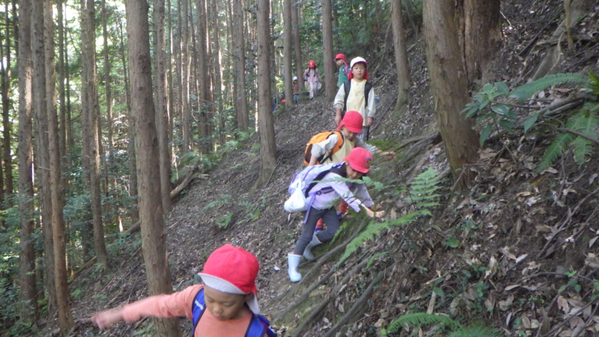 【年長】村積山　イノシシ沼　園外保育（1/4）