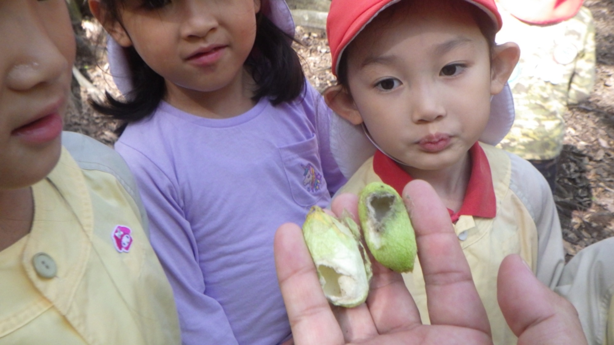 【年長】村積山　イノシシ沼　園外保育（1/4）